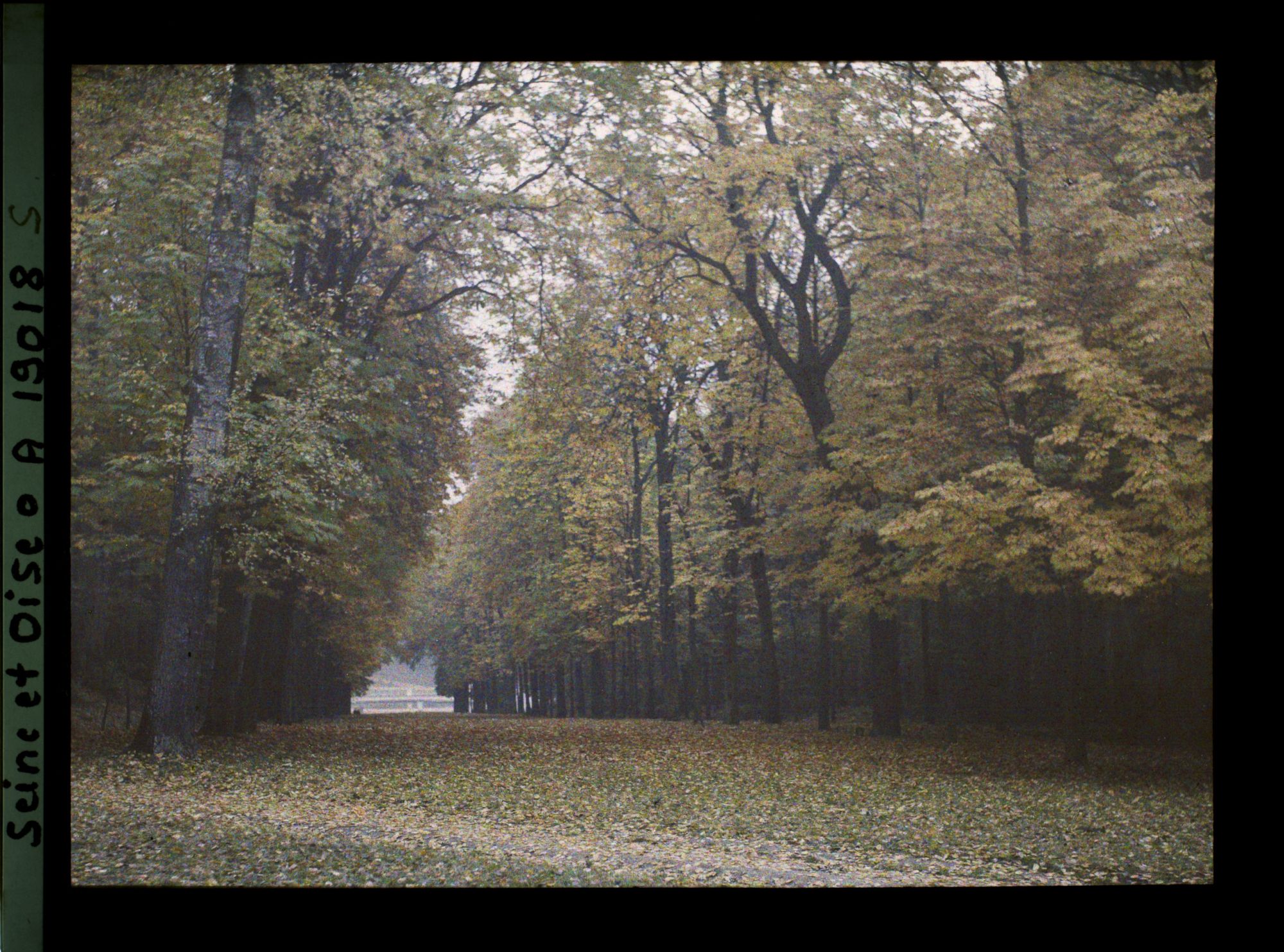 Image représentant Allée de la Félicité dans le parc ?