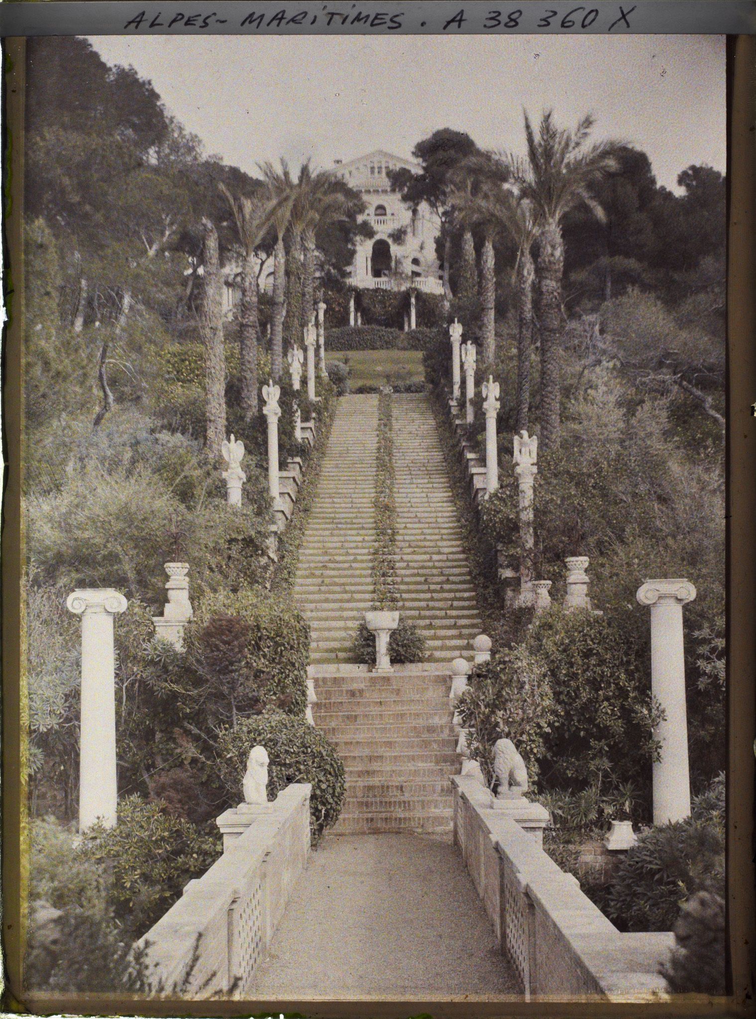 Image représentant Grand escalier du jardin de la villa Cypris, vu depuis la passerelle