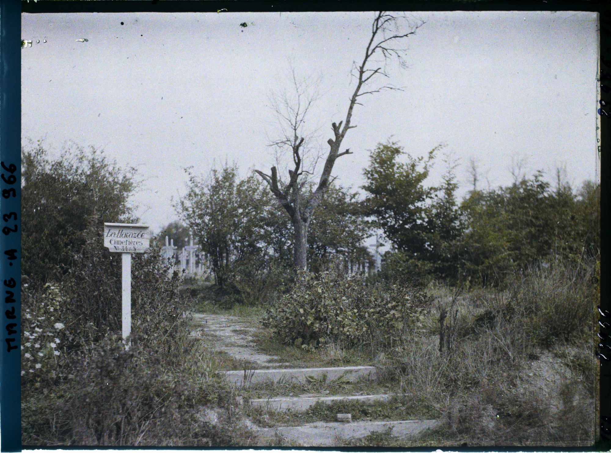 Image représentant France, La Harazée, L'écriteau au Cimetière