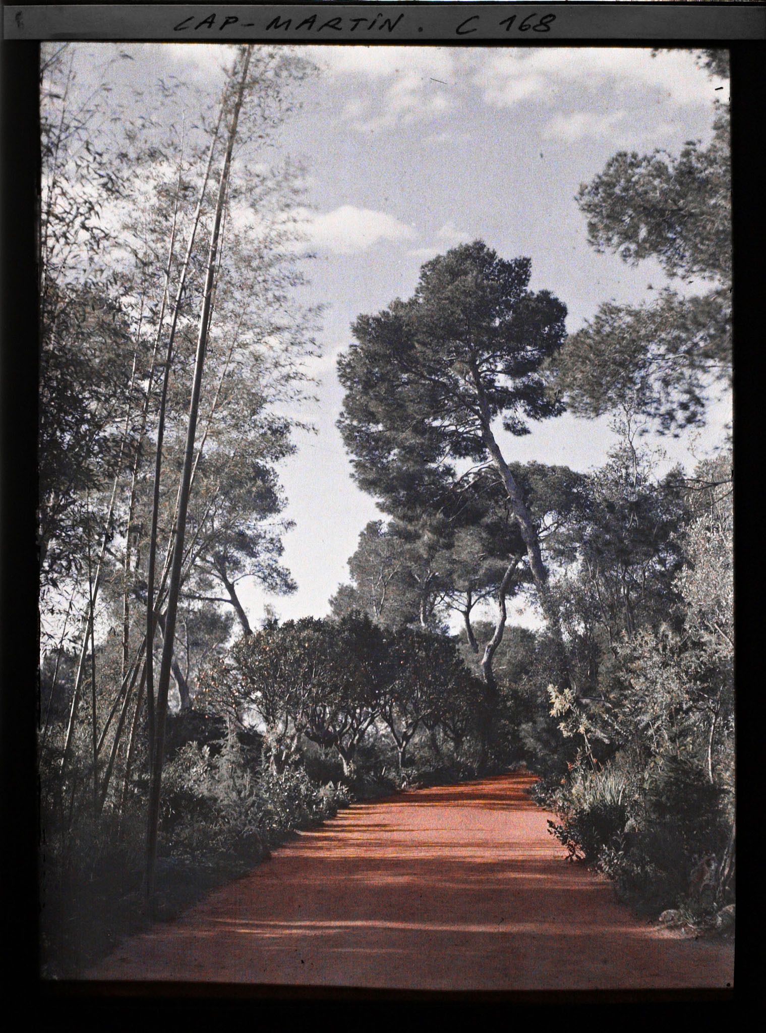 Image représentant Cap Martin - Le Jardin