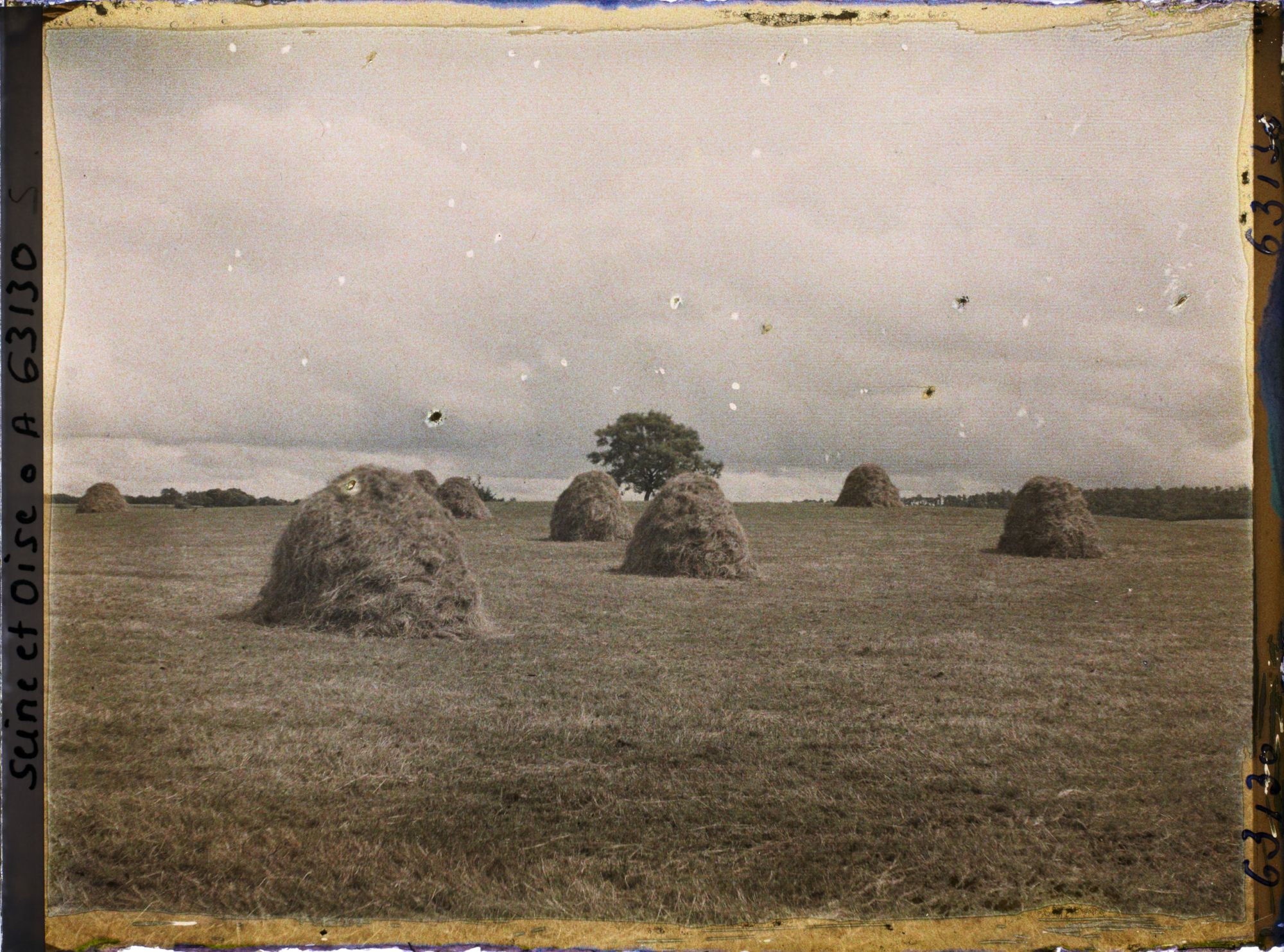Image représentant Ile de France, Magny en Vexin , Prairie fauchée