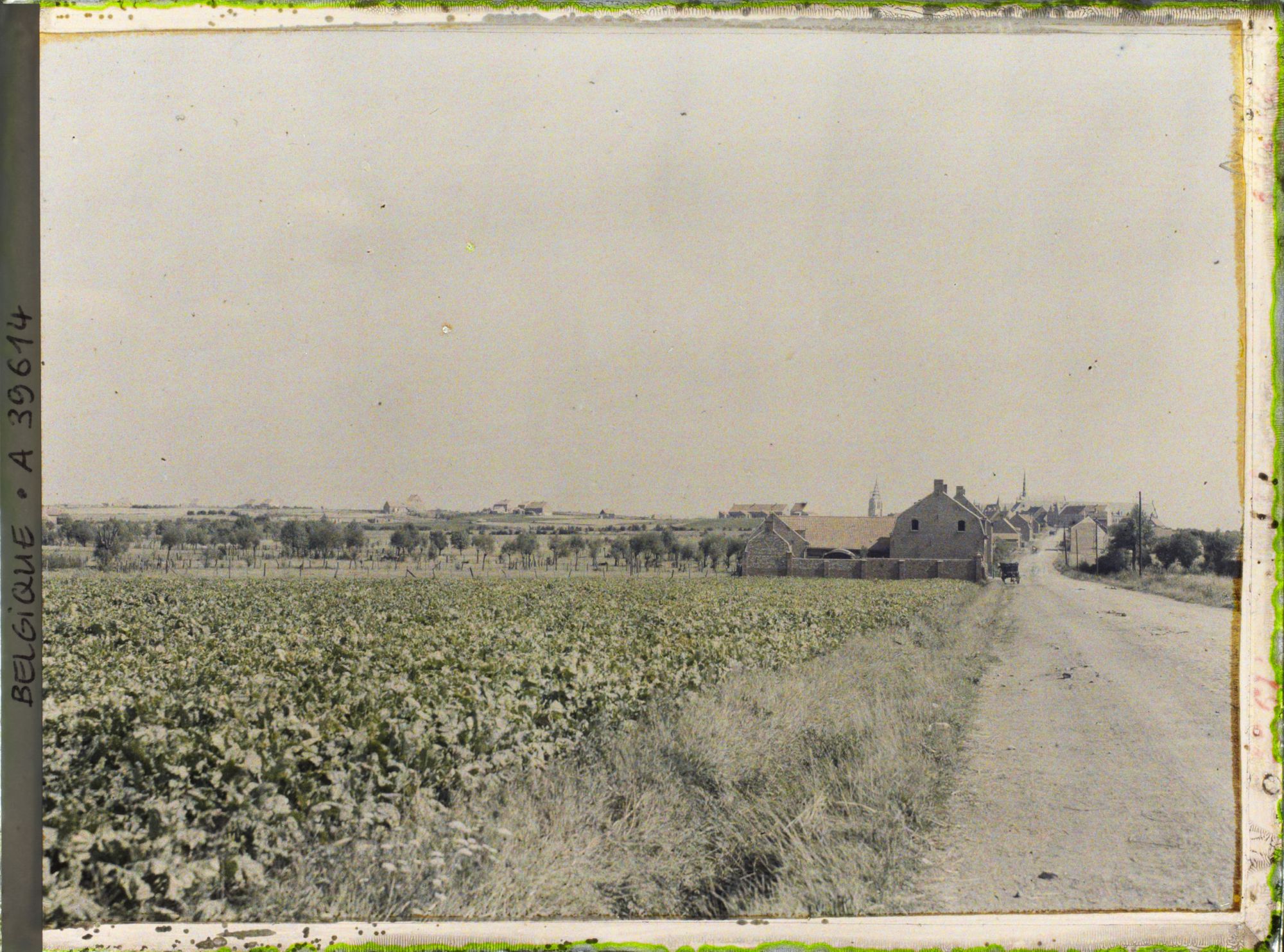 Image représentant Belgique, Morsleade, La Cité ouvrière