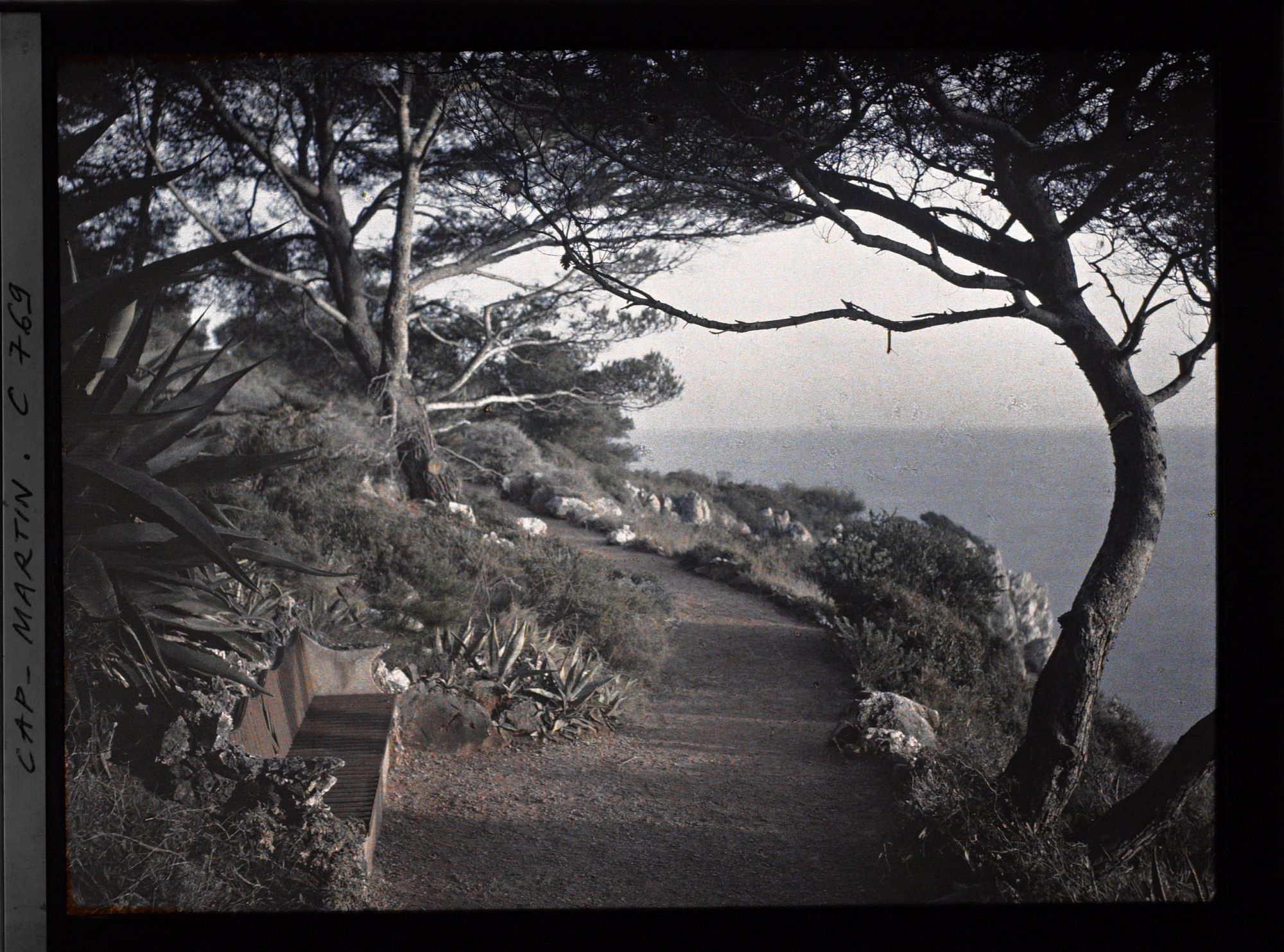 Image représentant allée allant au sentier de mer
