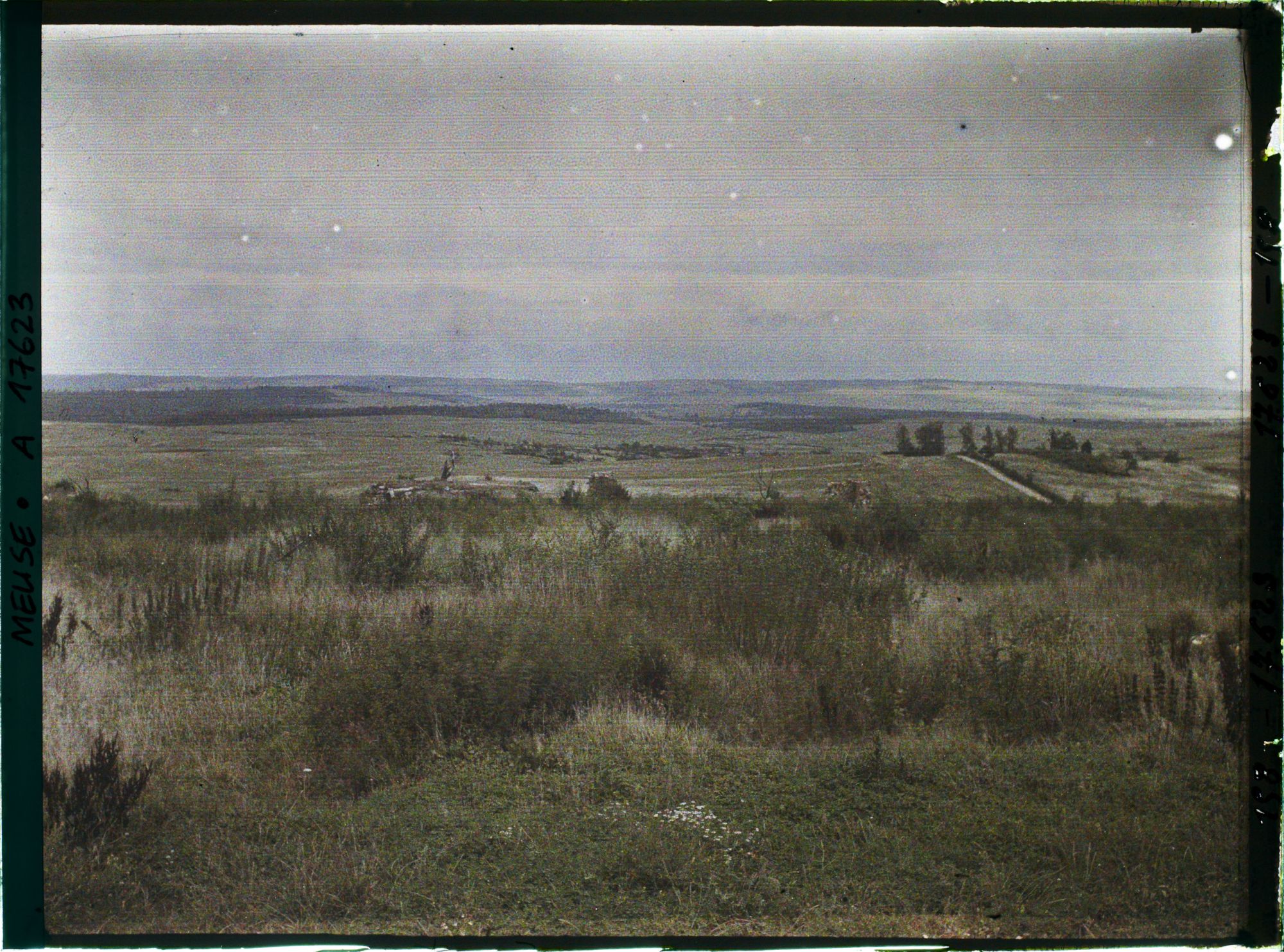 Image représentant France, Montfaucon, Les Hauts de Meuse pris de Montfaucon vers l'est
