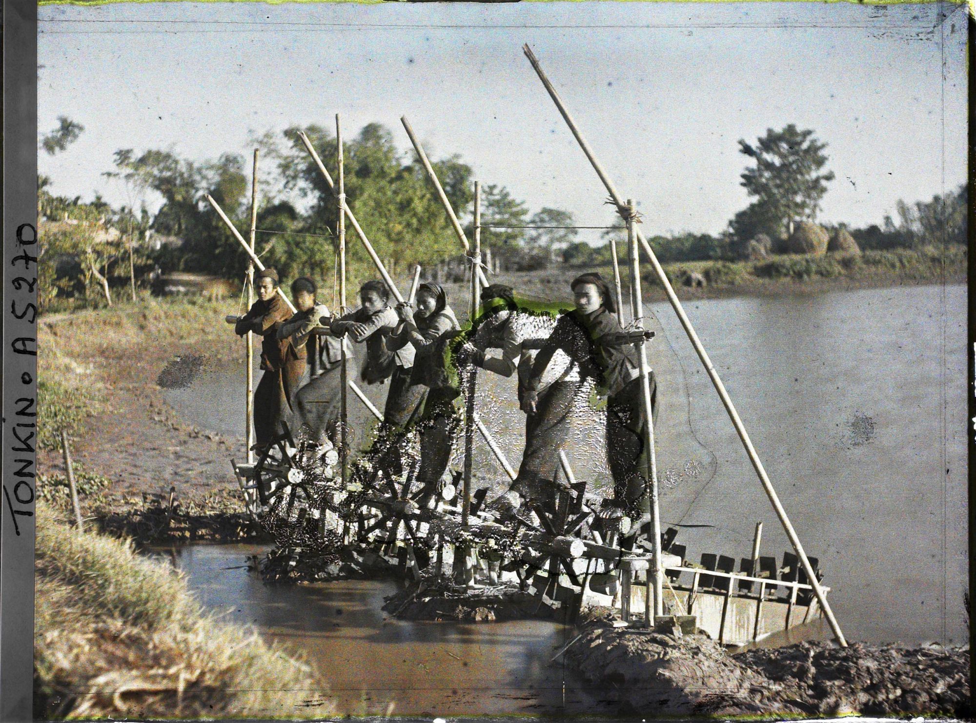 Image représentant Des hommes utilisant des machines actionnées au pied, système élévatoire d'eau pour l'irrigation du riz