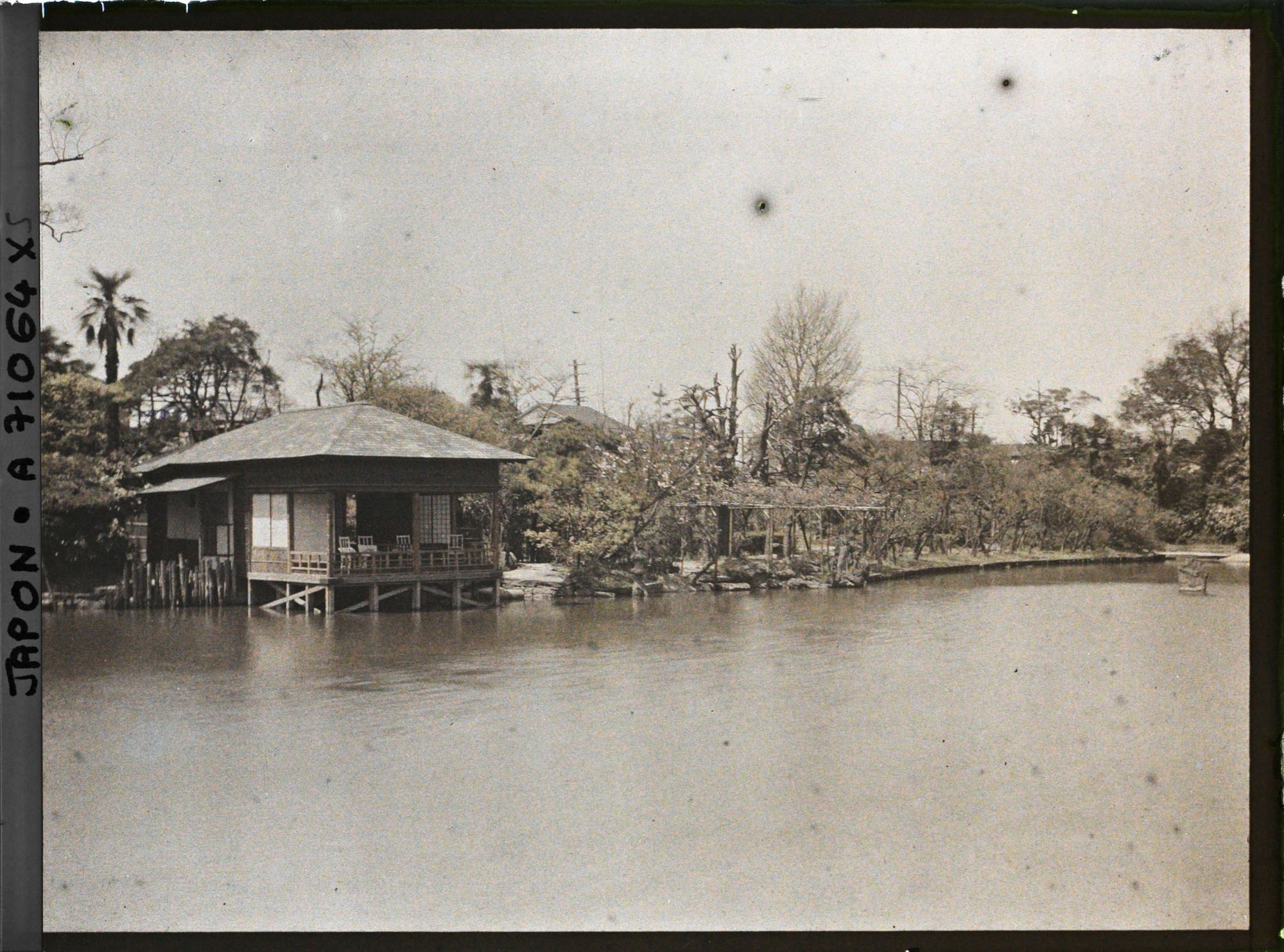 Image représentant Jardin ou parc