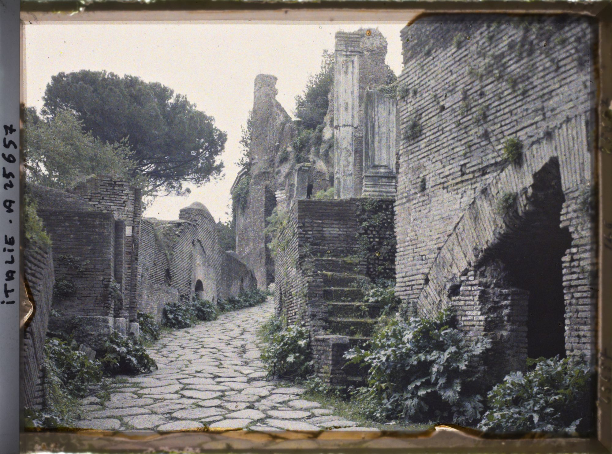 Image représentant Sentier dans le mont Palatin