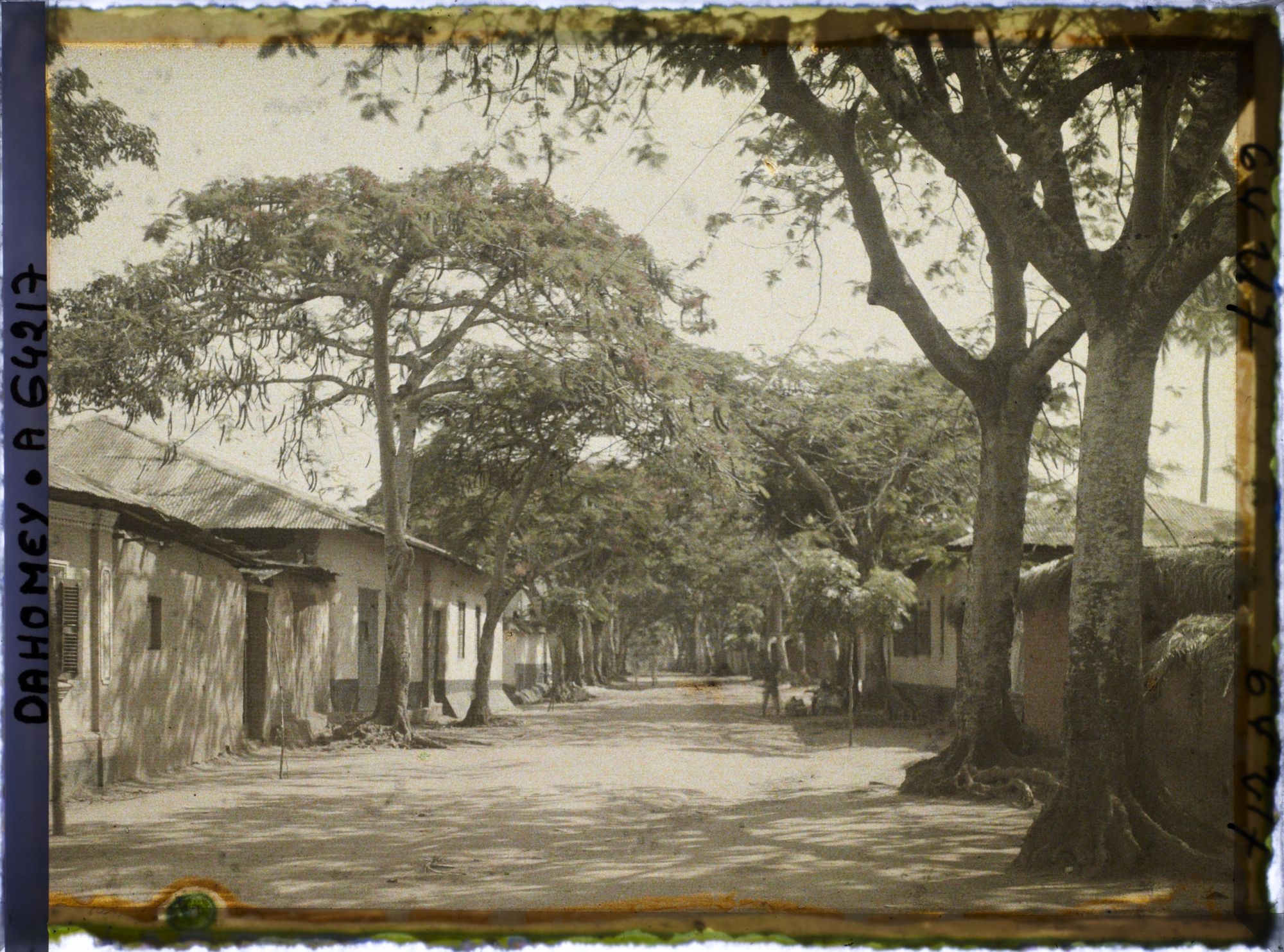 Image représentant L'avenue Gabrielle