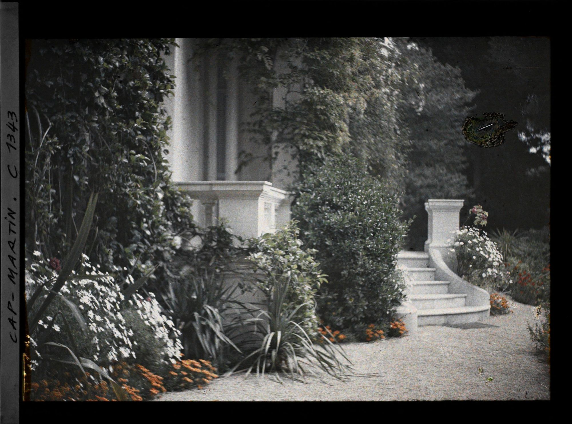 Image représentant Villa Miramar plantes près du perron