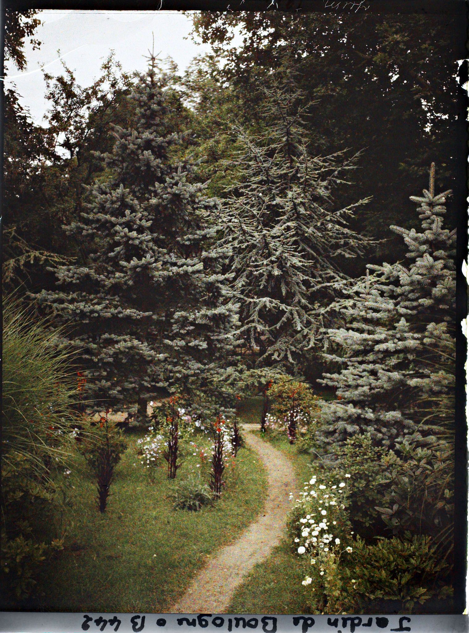 Image représentant Allée de la forêt bleue bordée de plates-bandes fleuries