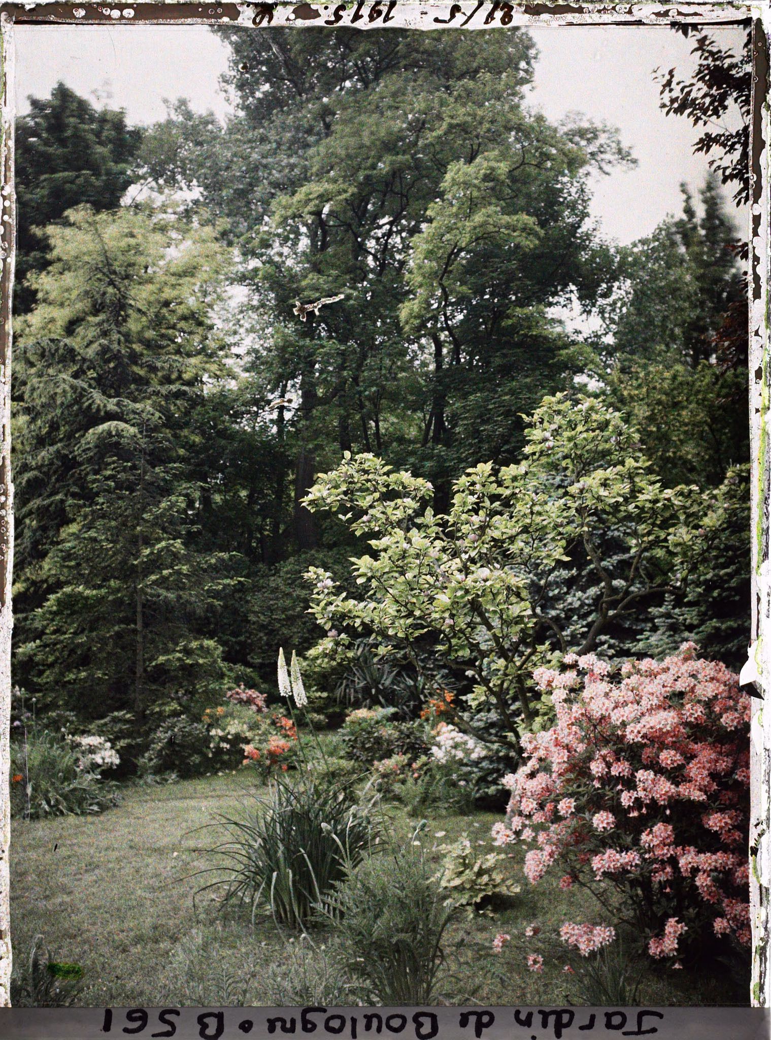 Image représentant Massif fleuri du marais, vu vers le sud-ouest ?