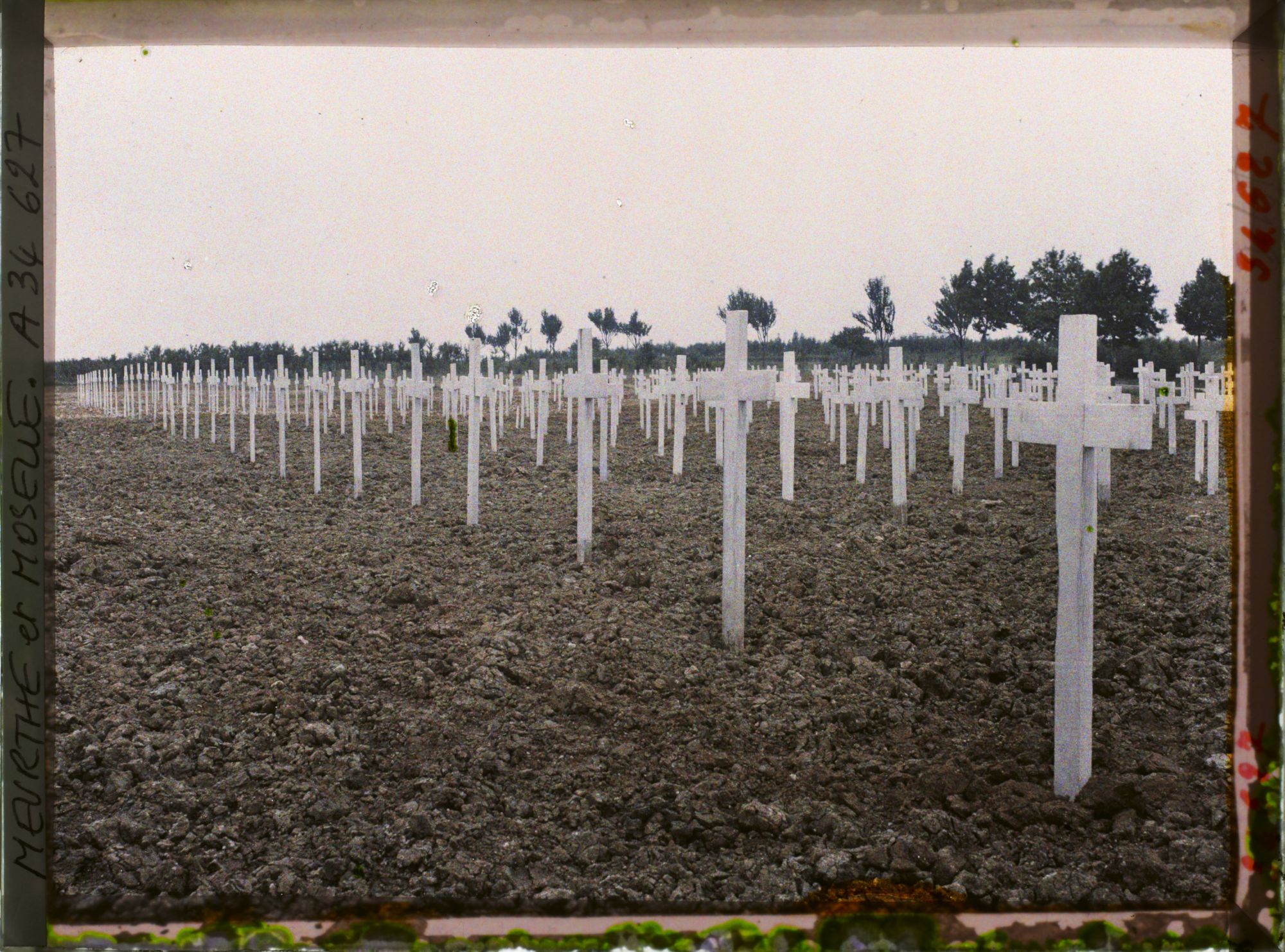 Image représentant France, Thiaucourt, Cimetière Américain