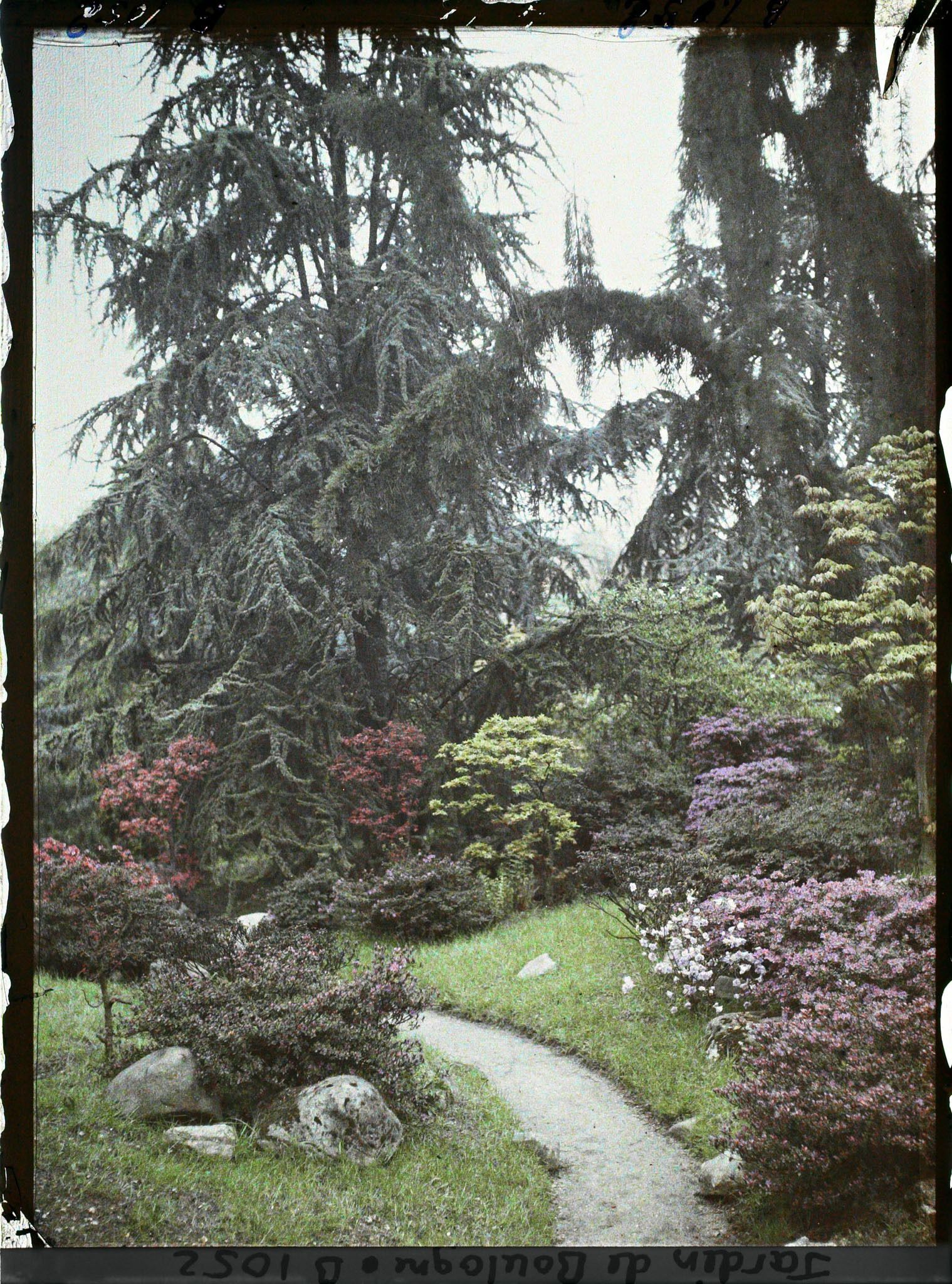 Image représentant Chemin du " sanctuaire japonais " bordé d'érables et d'azalées, à la sortie du " village japonais "