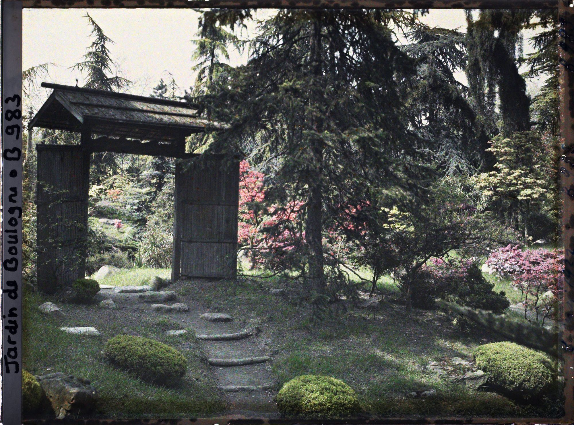 Image représentant Arbustes taillés devant la porte du " village japonais " ouvrant sur le " sanctuaire japonais "