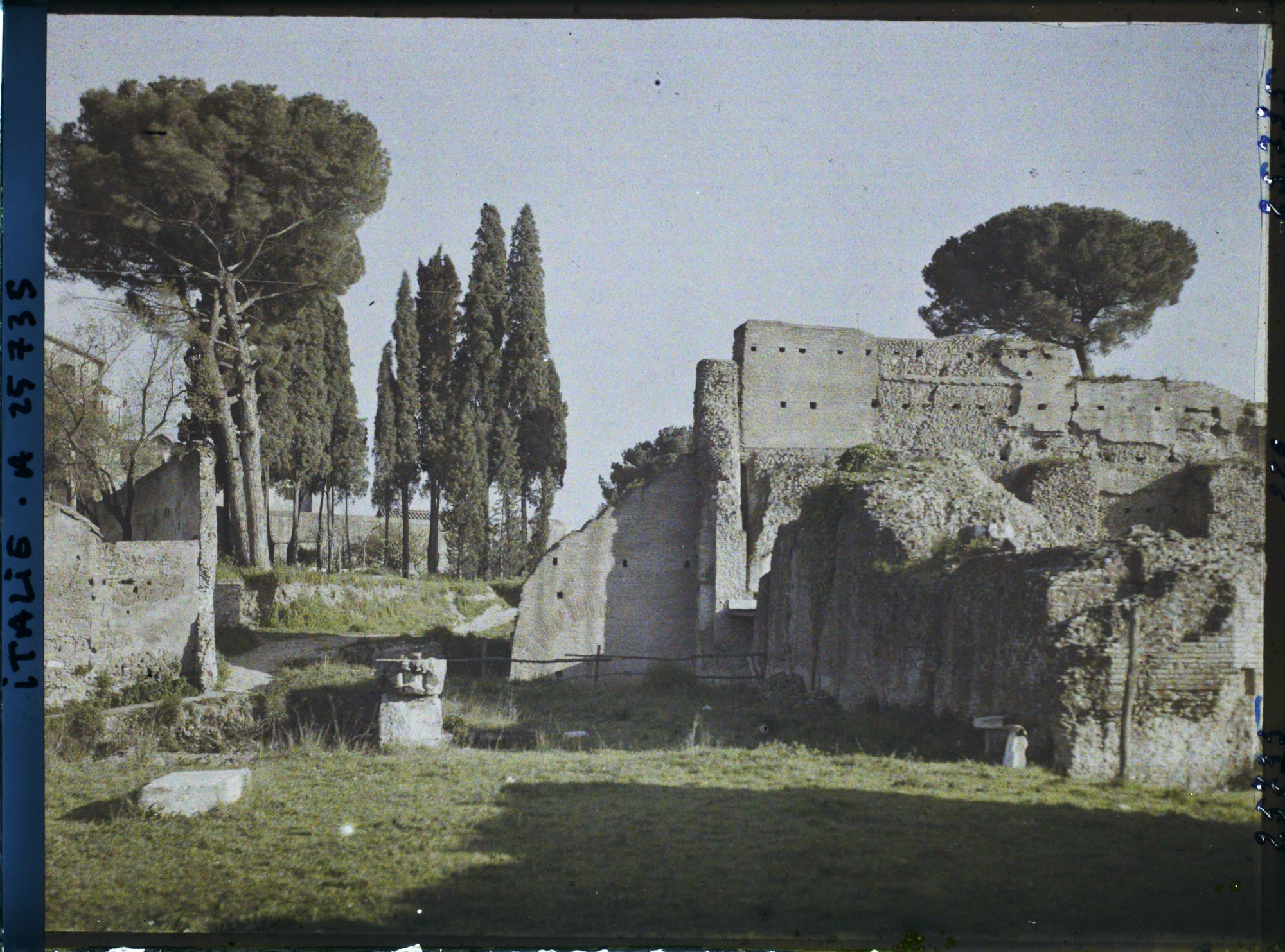 Image représentant Italie, Rome, Paysage dans les ruines du Palatin
