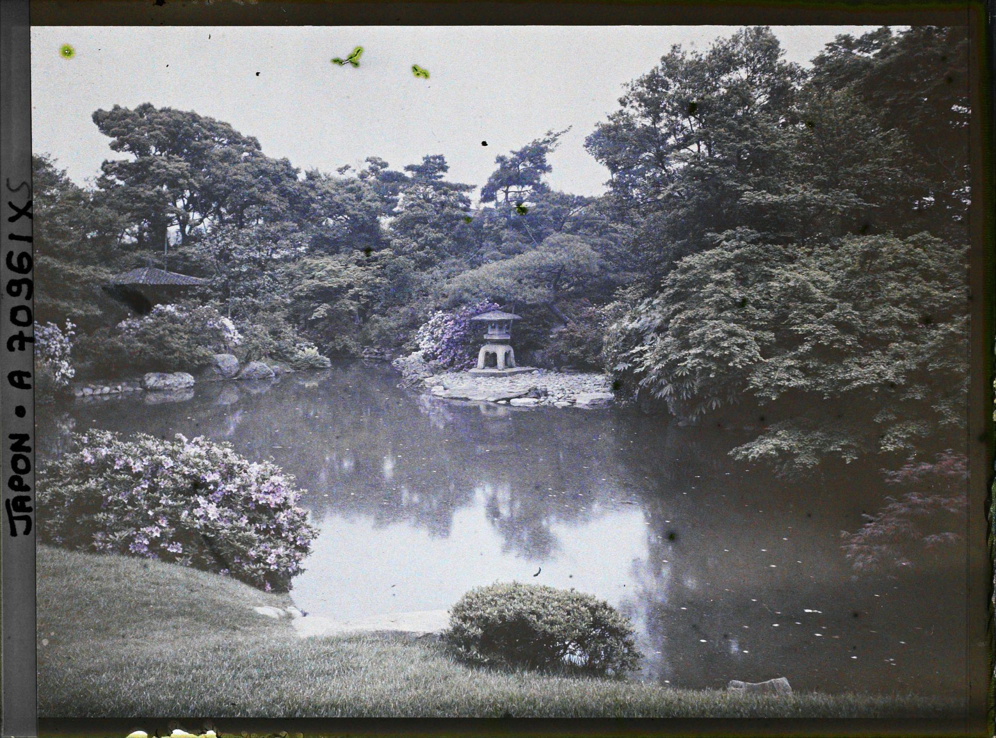 Image représentant Jardin d'une résidence