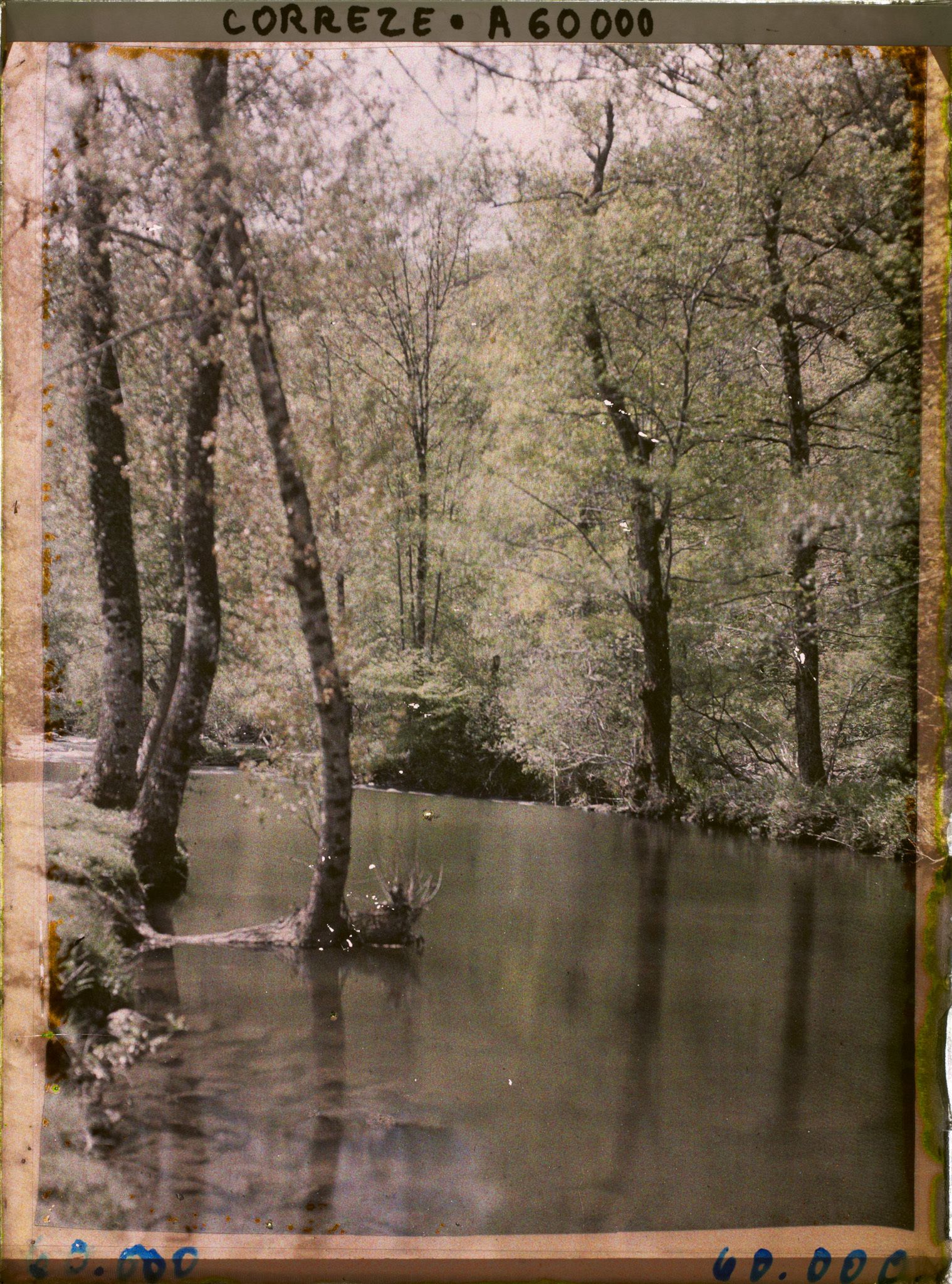 Image représentant Les bords de la Vézère