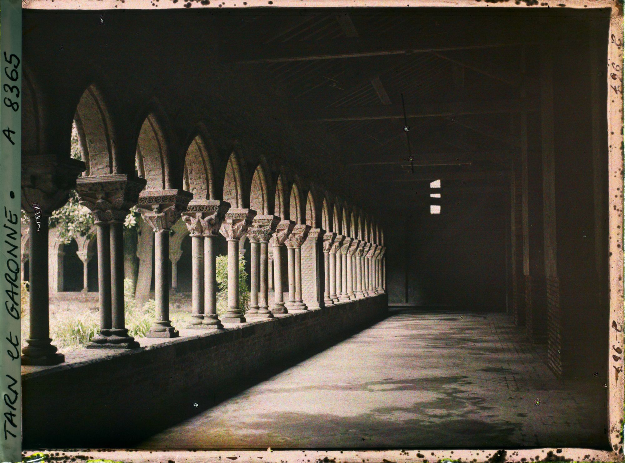 Image représentant Le cloître de l'abbaye Saint-Pierre