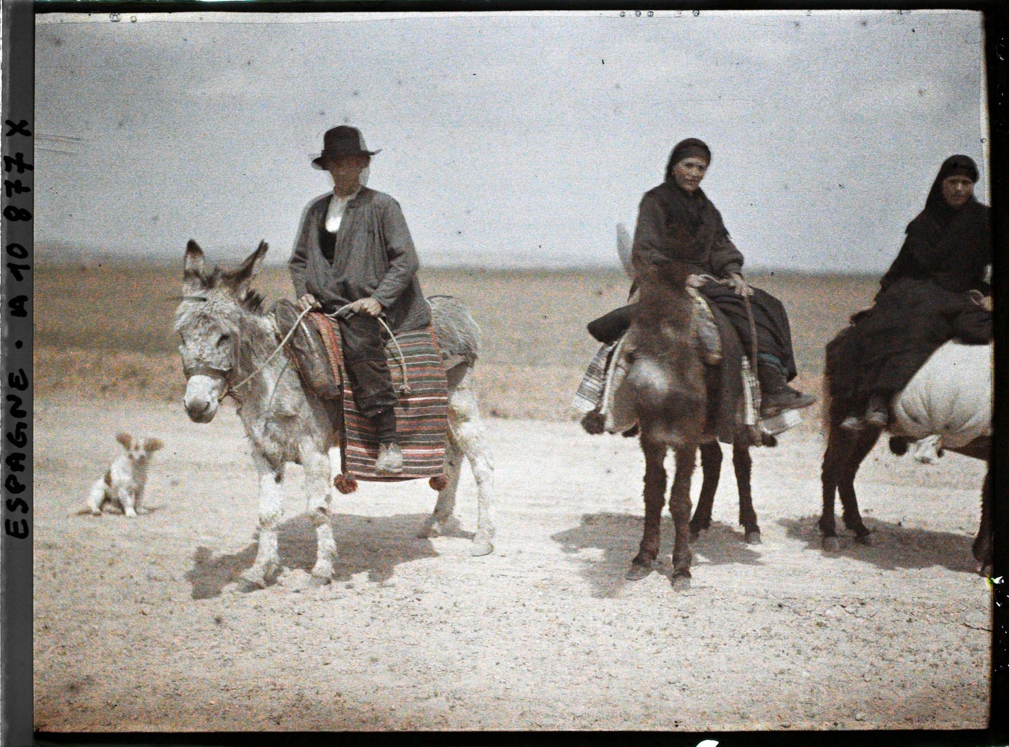 Image représentant Espagne, D'Astorga à Léon, Trois ânes montés