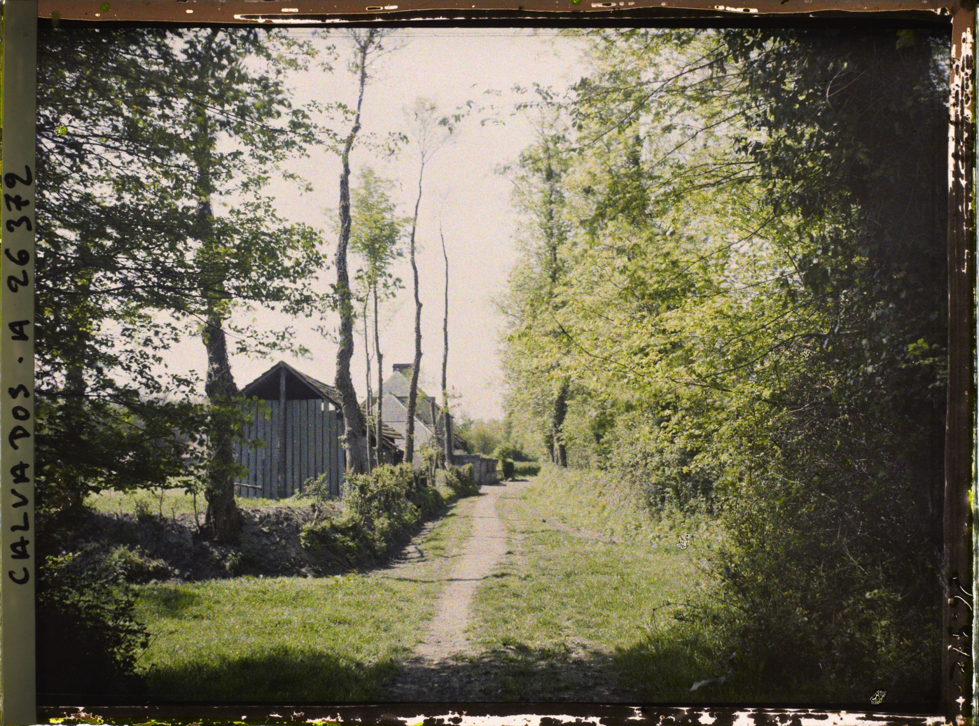 Image représentant Un petit chemin près d'Isigny-sur-Mer