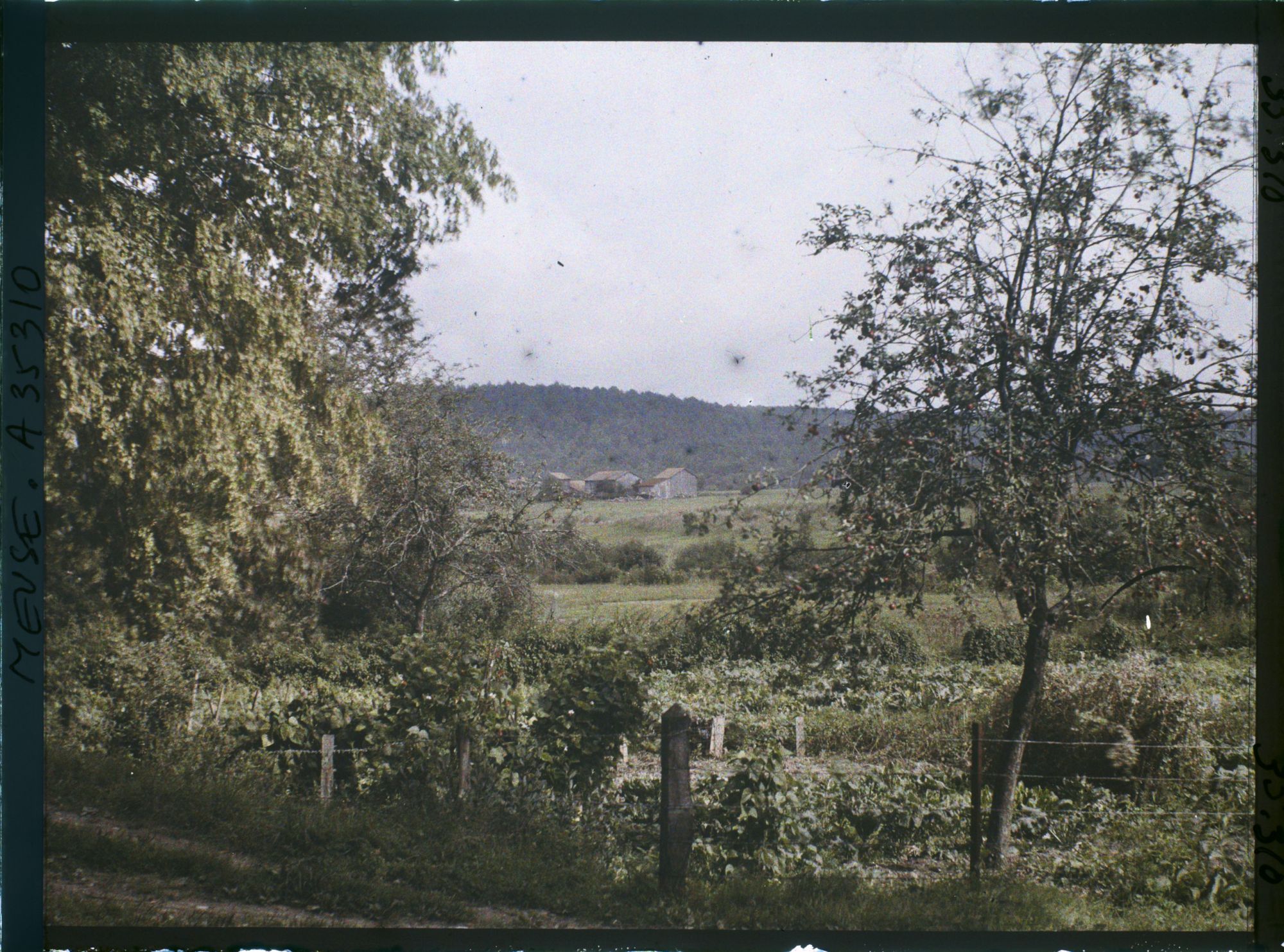 Image représentant France, Les Islettes, Paysage