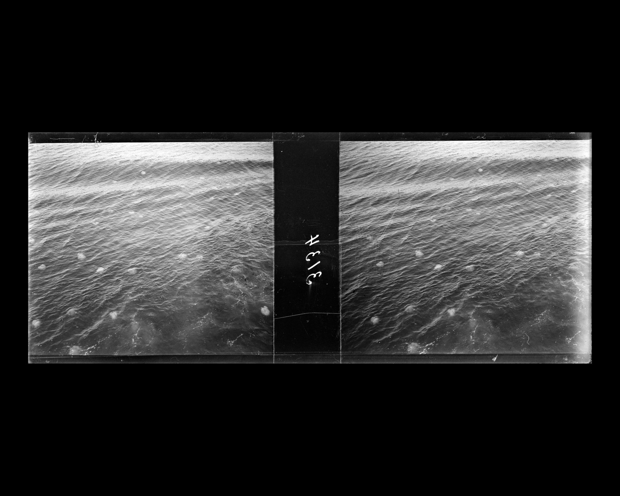 Image représentant Méduses à la surface de la mer ?