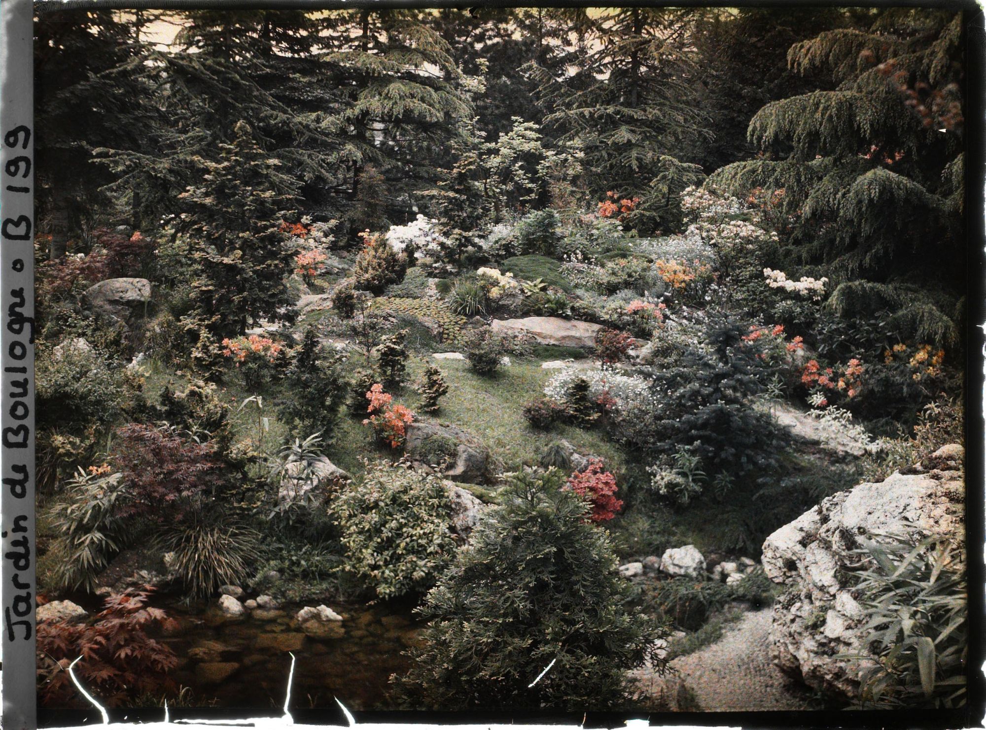 Image représentant Butte ponctuée d'azalées en fleurs sur la rive d'un cours d'eau du " sanctuaire japonais "