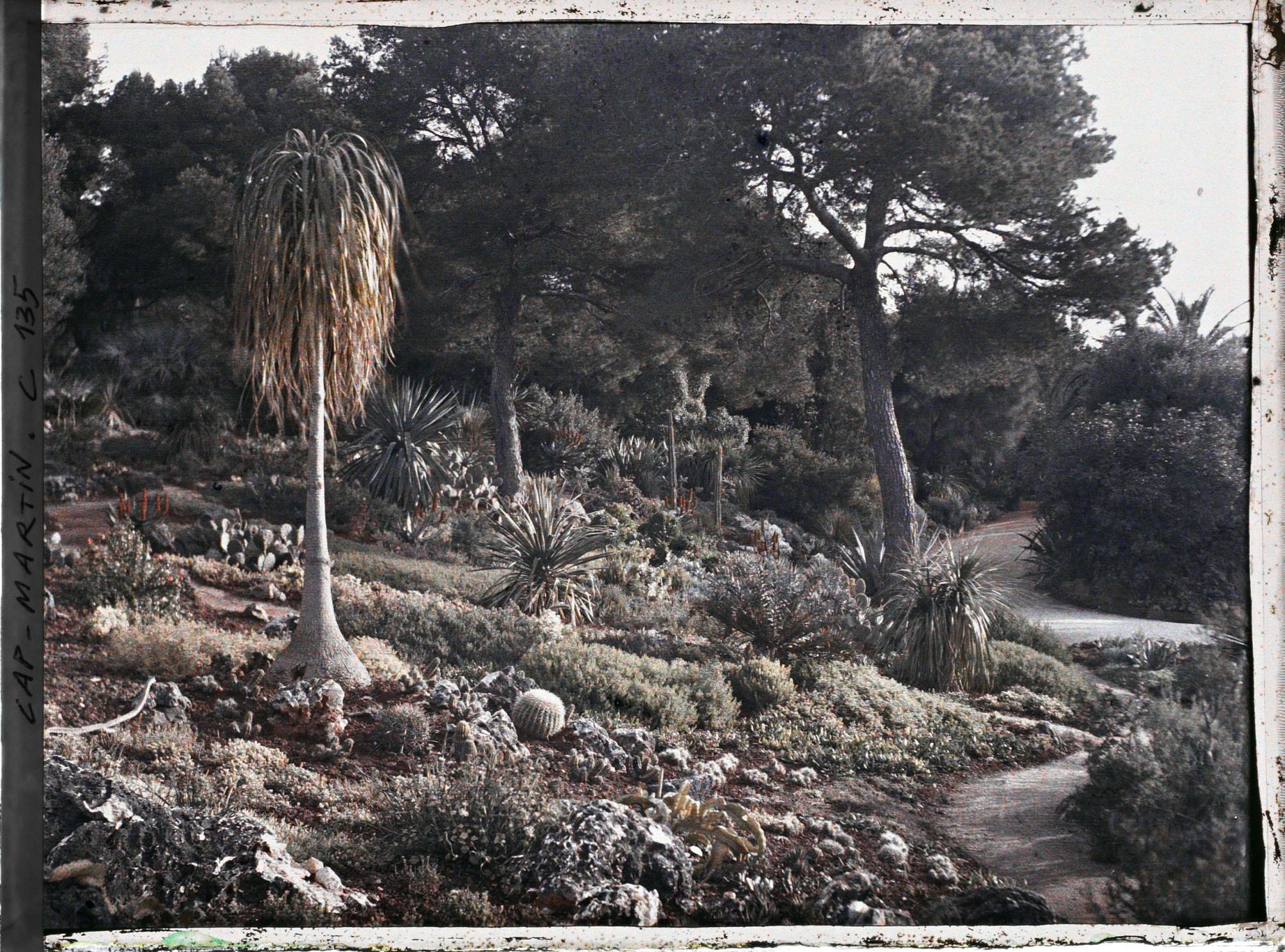 Image représentant Le jardin