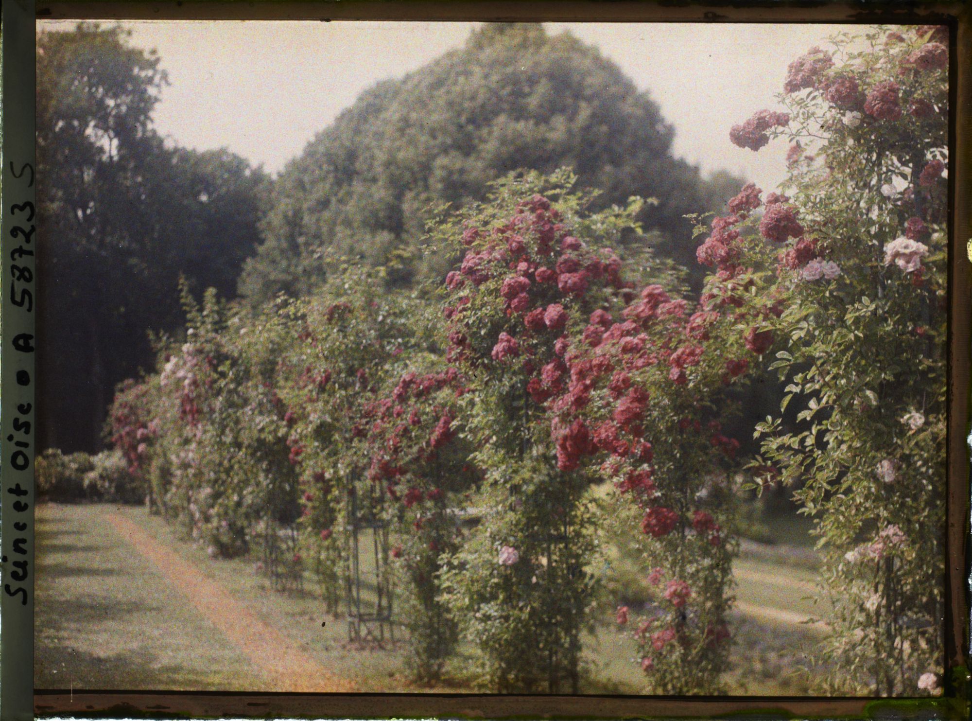 Image représentant Propriété de madame Douine
