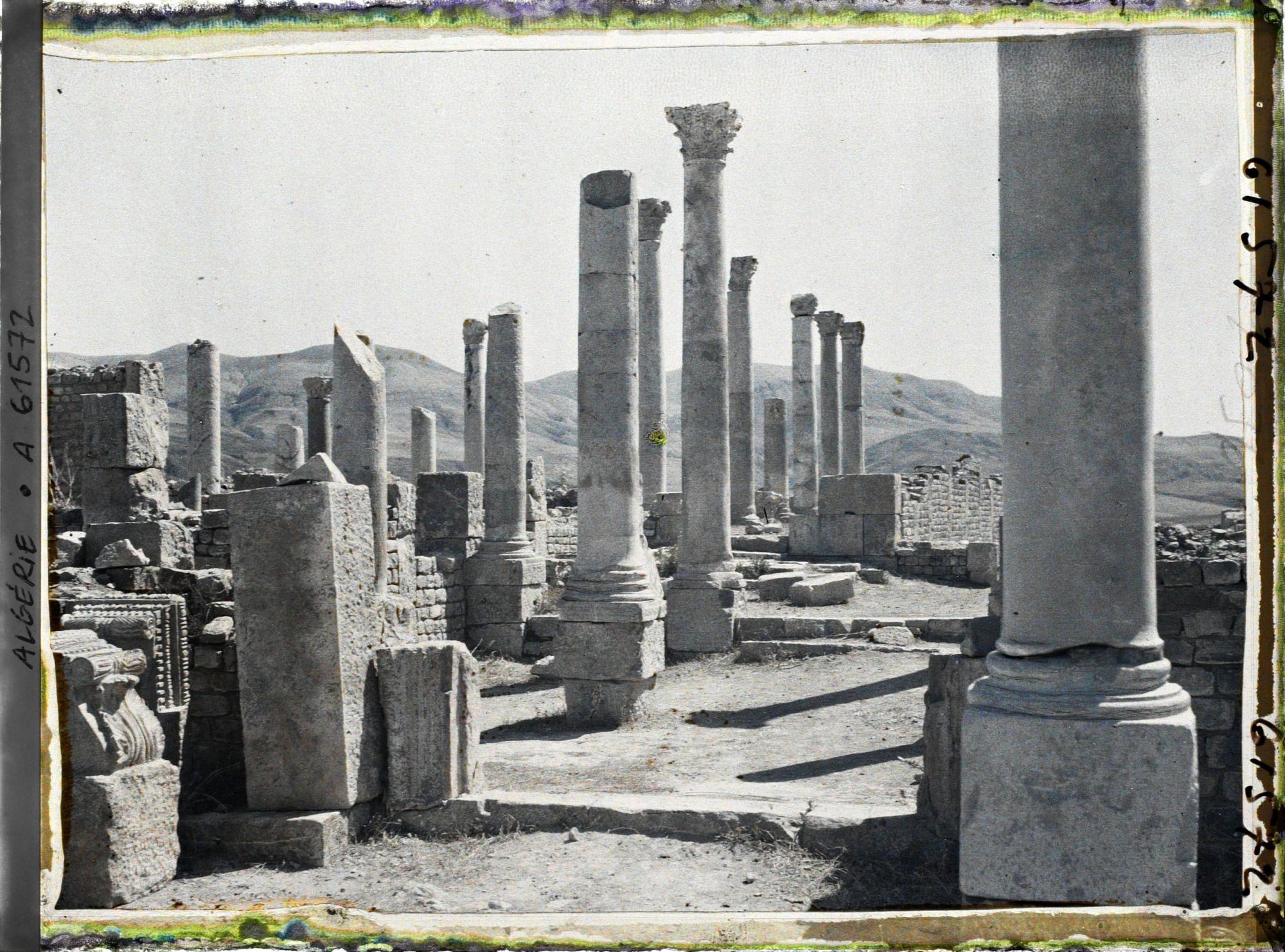 Image représentant Algérie, Djemila, Basilique Chrétienne primitive (IVe S.)