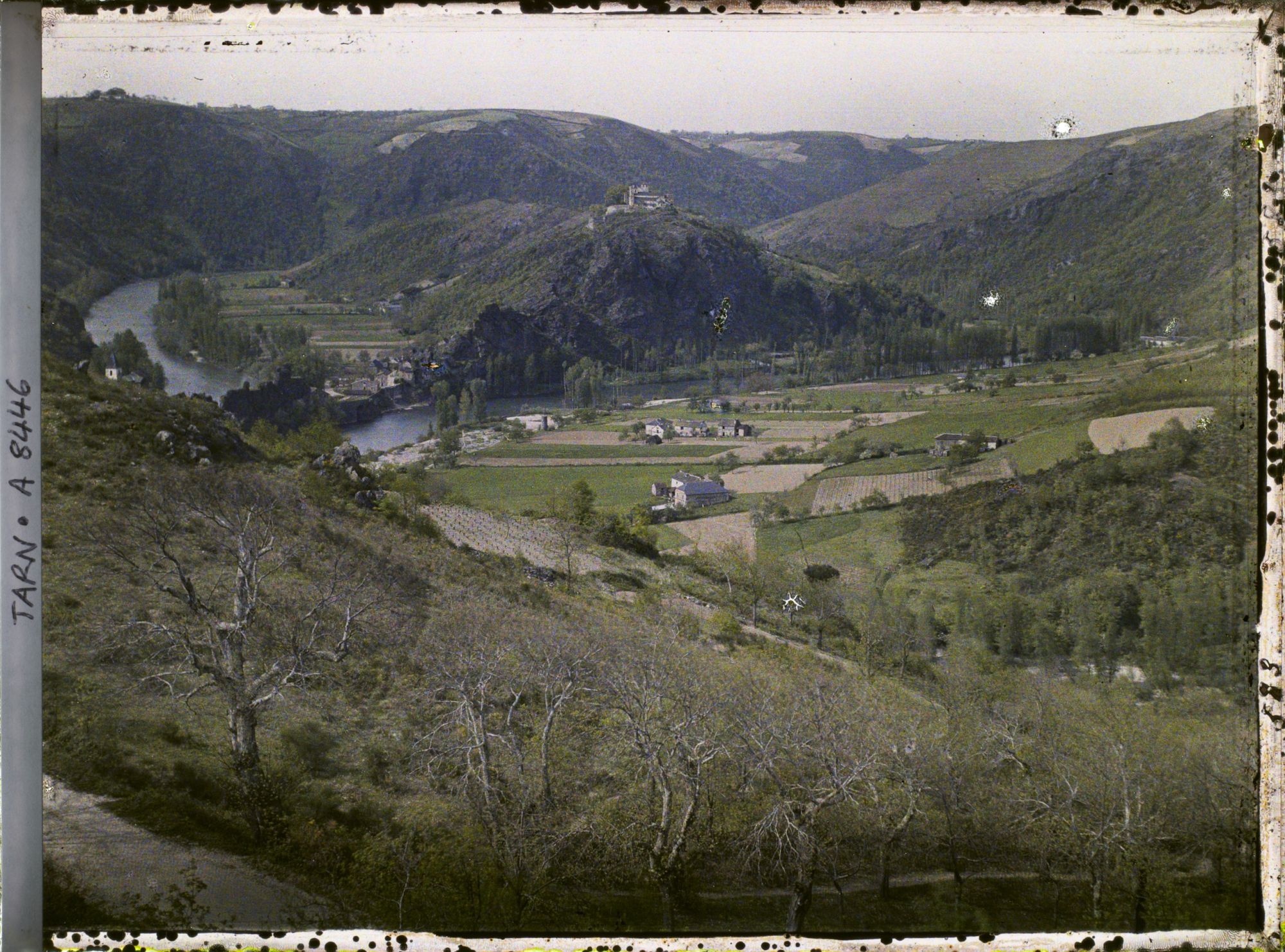 Image représentant Vue sur le Tarn et la ville, au second plan le Prieuré Notre-Dame de l'Oder