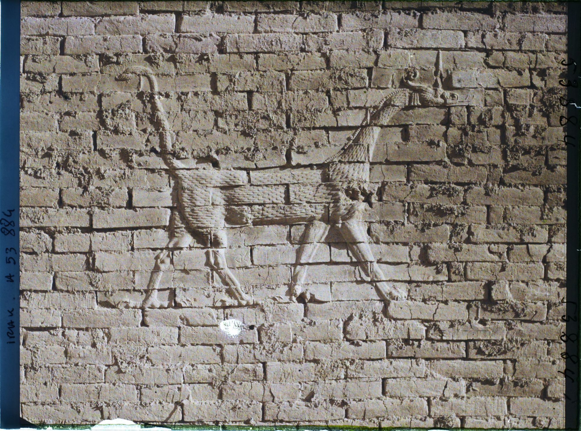 Image représentant Porte d'Ishtar : le dragon symbole de Mardouk le dieu de la ville