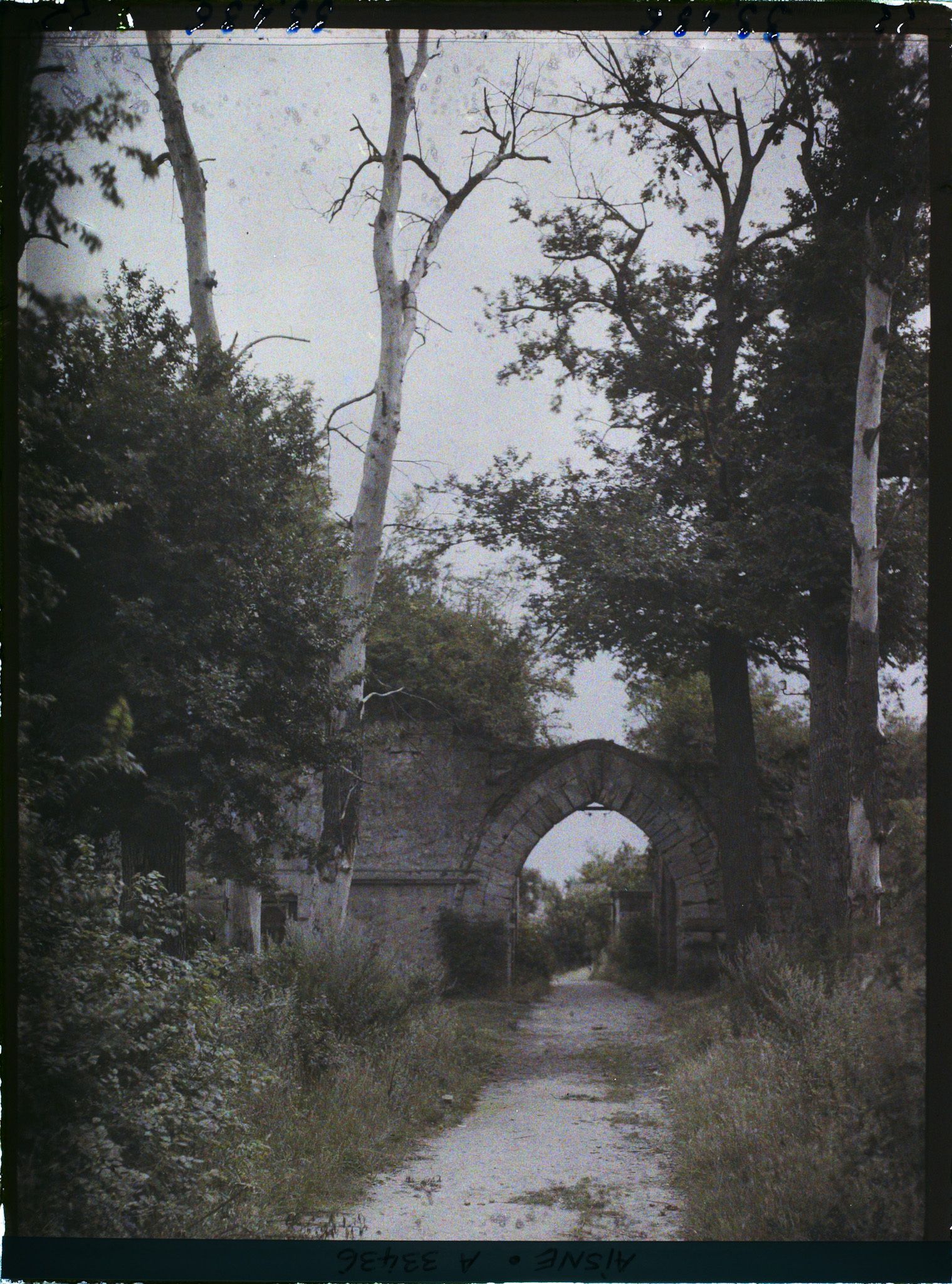 Image représentant France, Coucy le Château, Entrée du Parc du Doujon et arbre mort