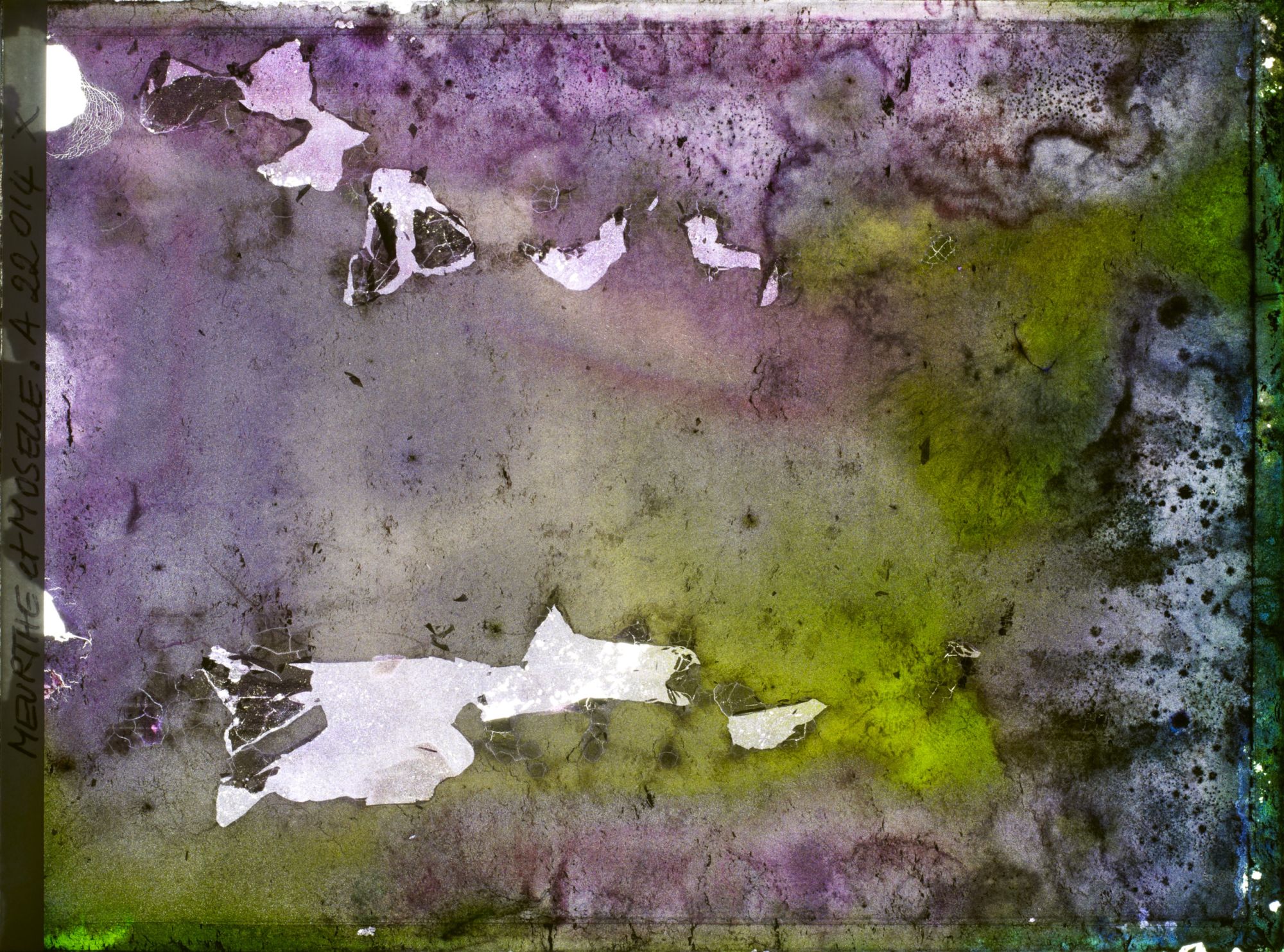 Image représentant Image illisible, plaque endommagée par l'eau (altérations d'époque)