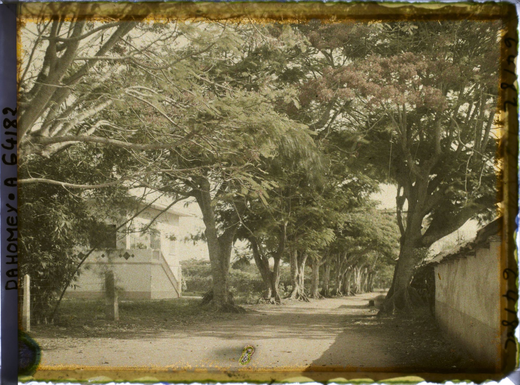 Image représentant La route de Sakété