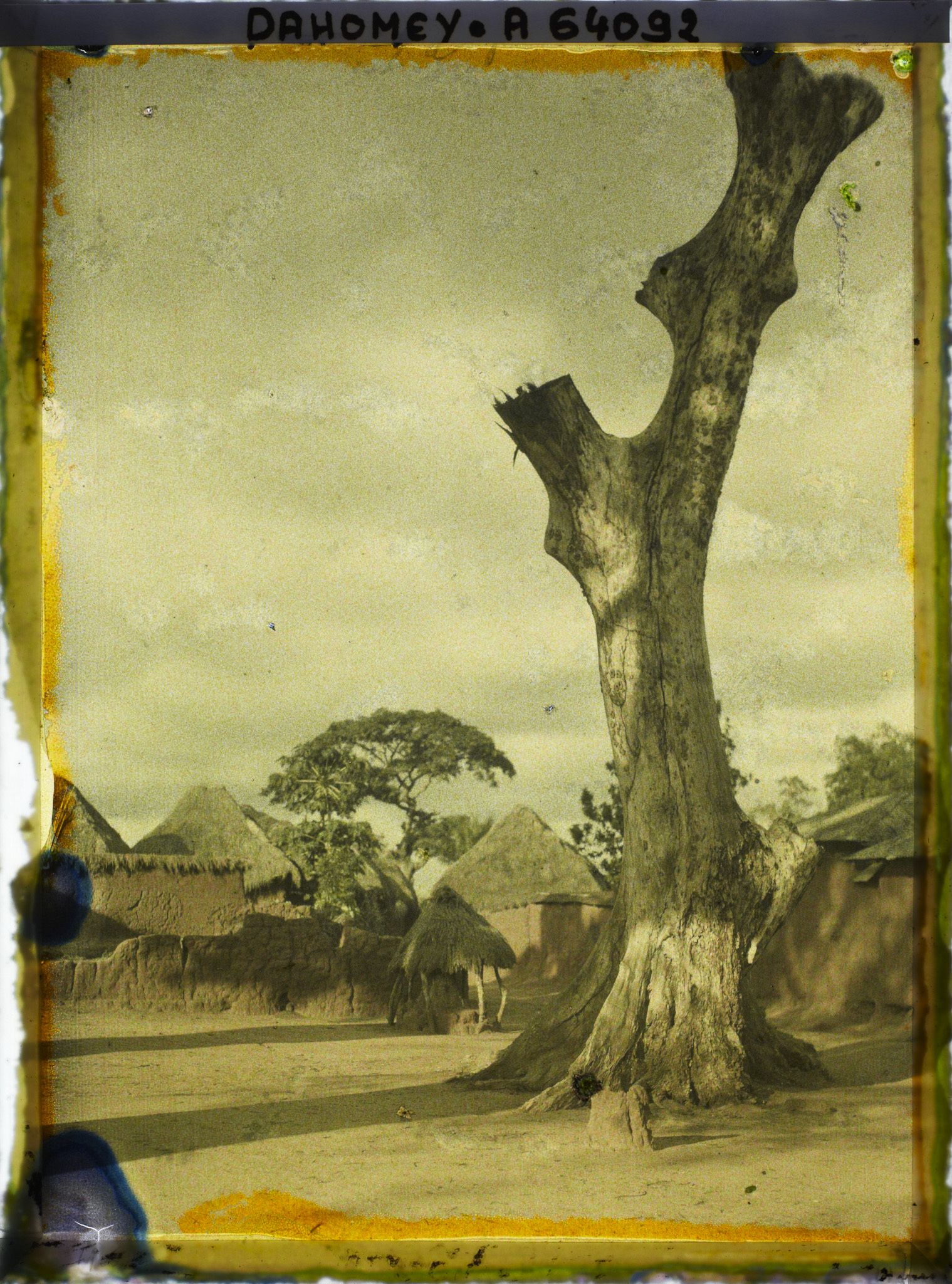 Image représentant Un arbre (sacré ?) dans le village