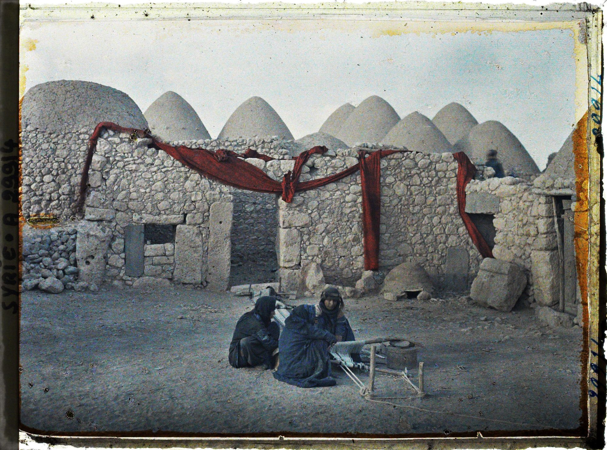 Image représentant Bédouines devant leur machine à tisser