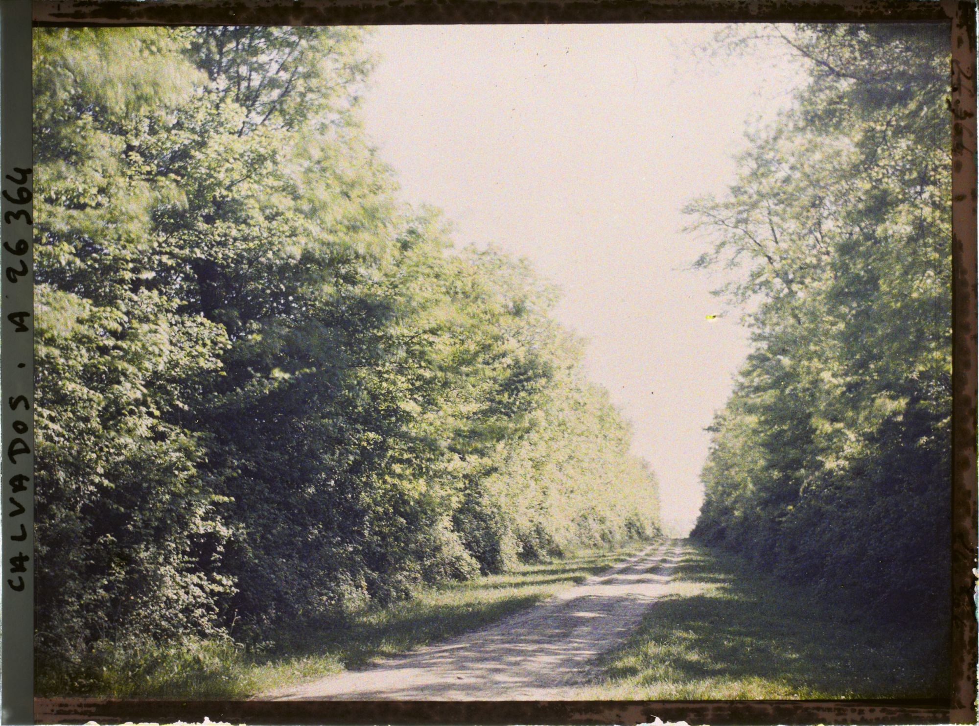 Image représentant Chemin de Neuilly-la-Forêt