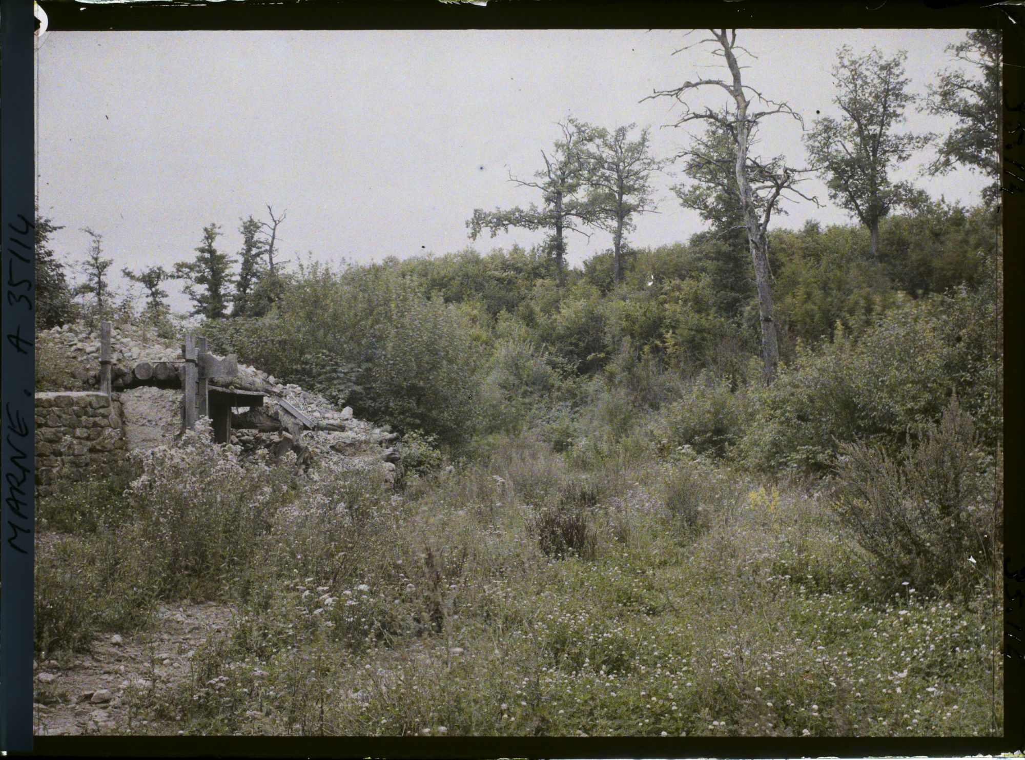 Image représentant France, Binarville (Meuse), Ravin du ruisseau de la vallée Moreau