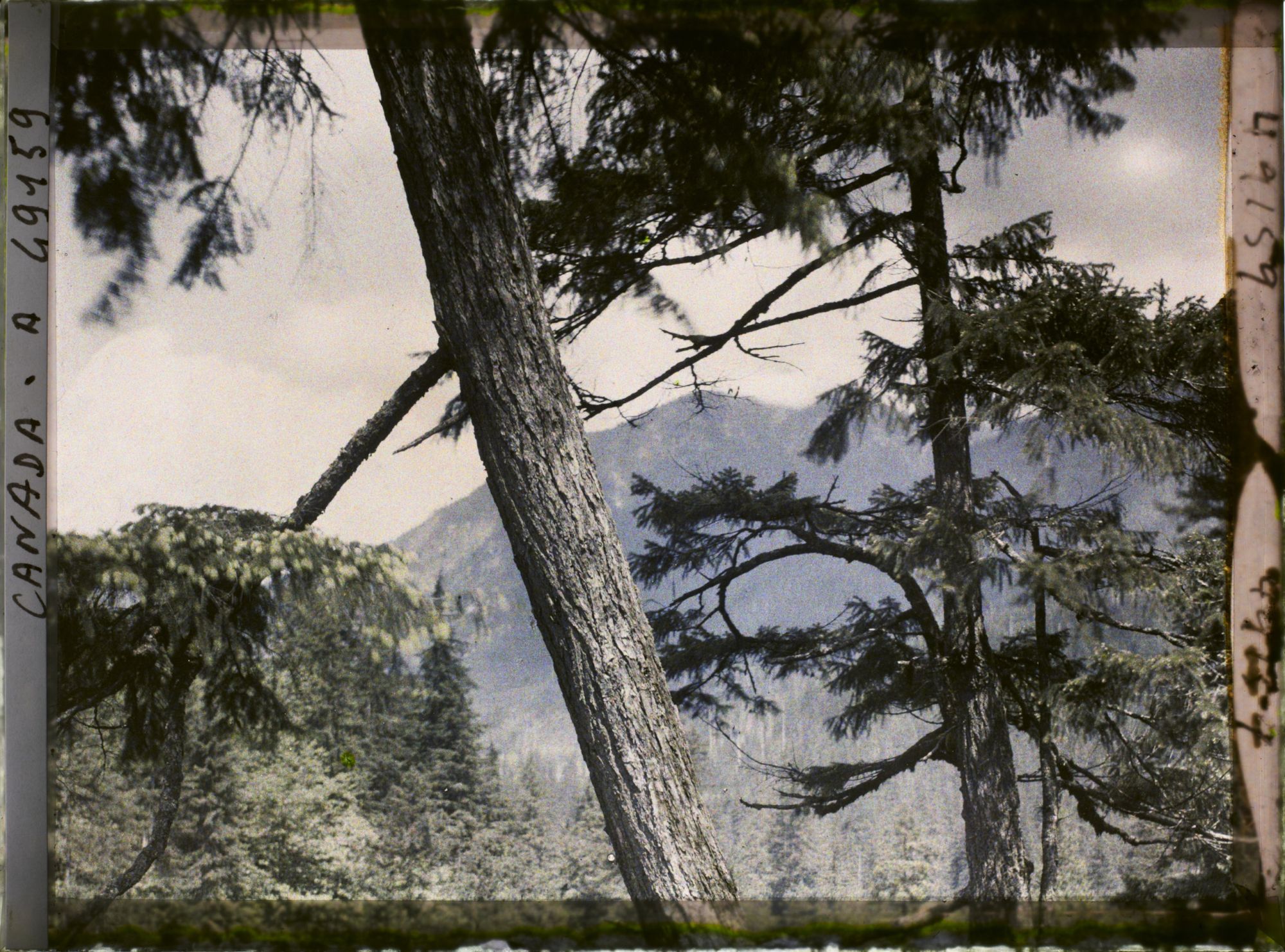 Image représentant Canada, Vancouver, Capilane Canyon, Paysage dans les Gorges