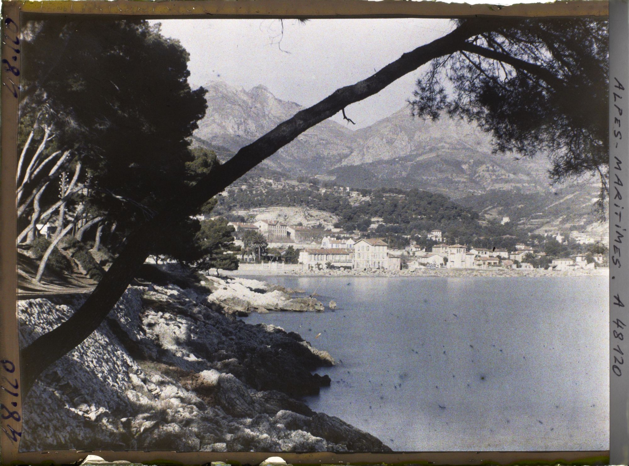 Image représentant Panorama du littoral menant vers Menton, vu depuis la promenade du cap Martin