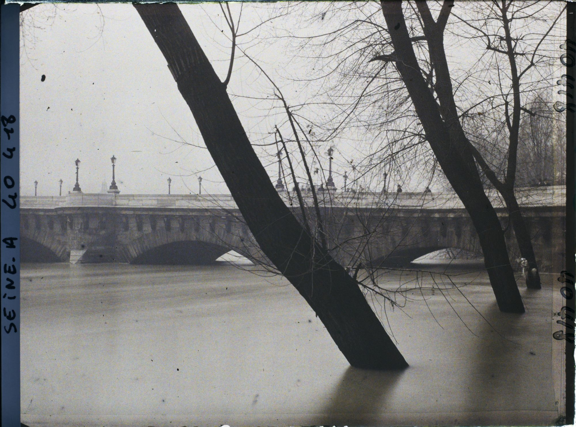 Image représentant La crue de la Seine au Pont-Neuf
