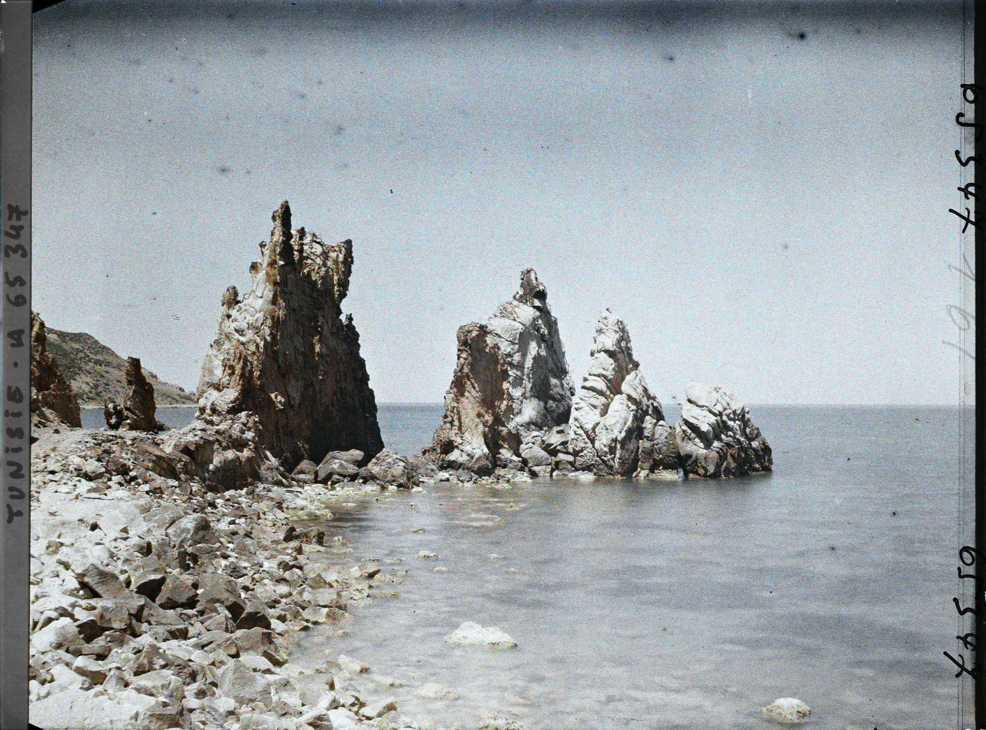 Image représentant Les aiguilles sur le rivage