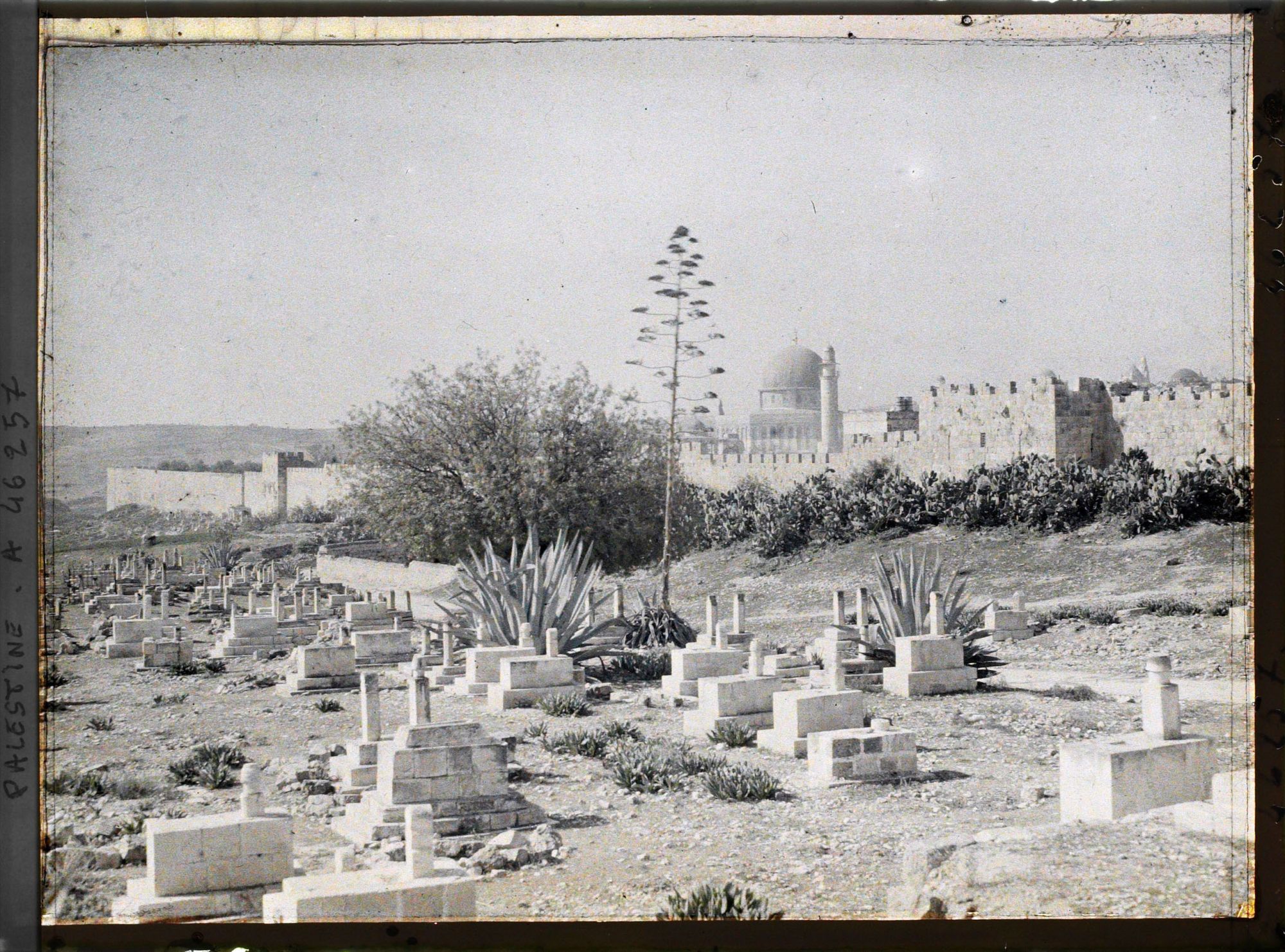 Image représentant Vue de la vieille ville depuis le cimetière musulman