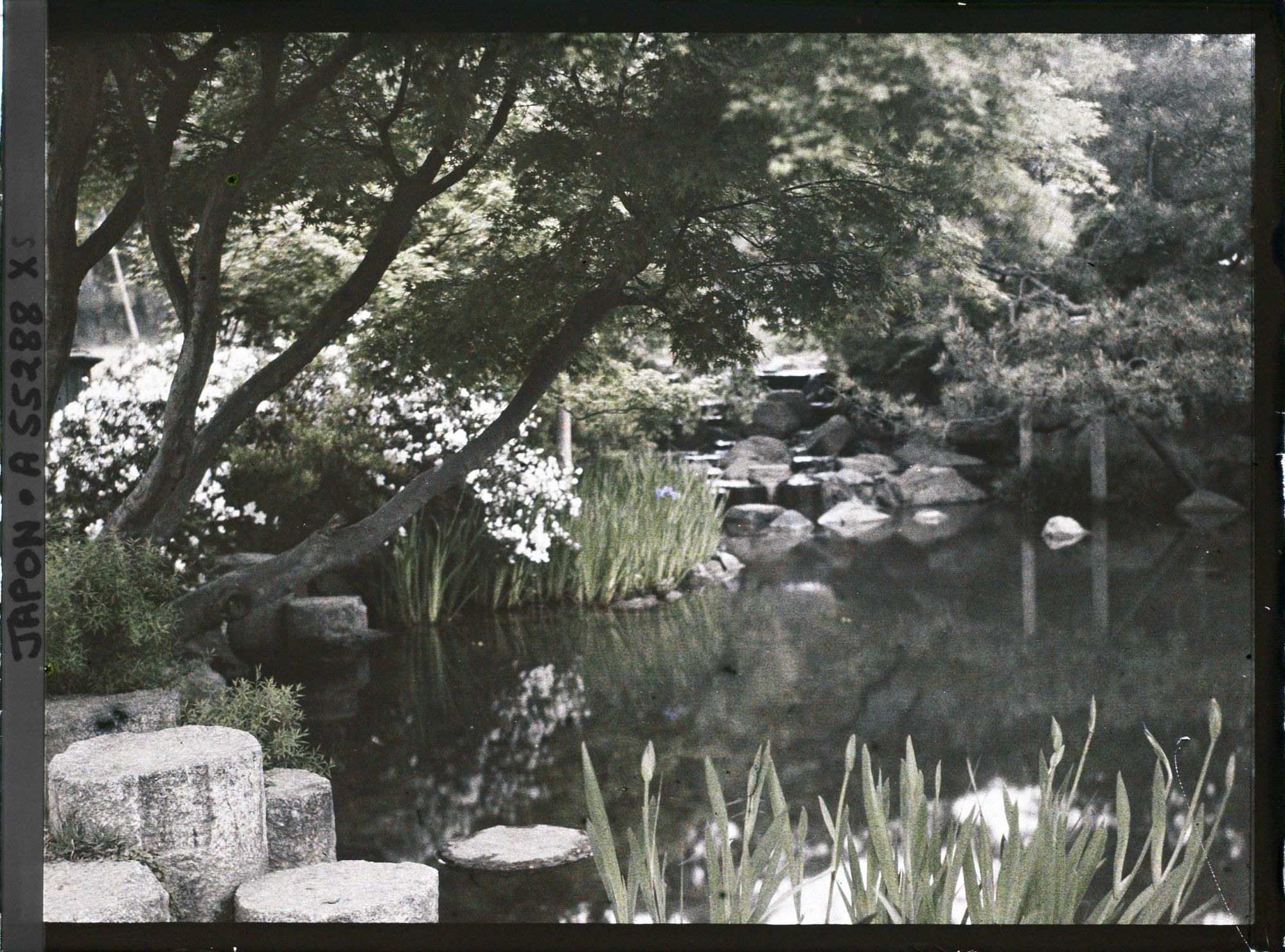 Image représentant Le parc Maruyama (Maruyama kôen)