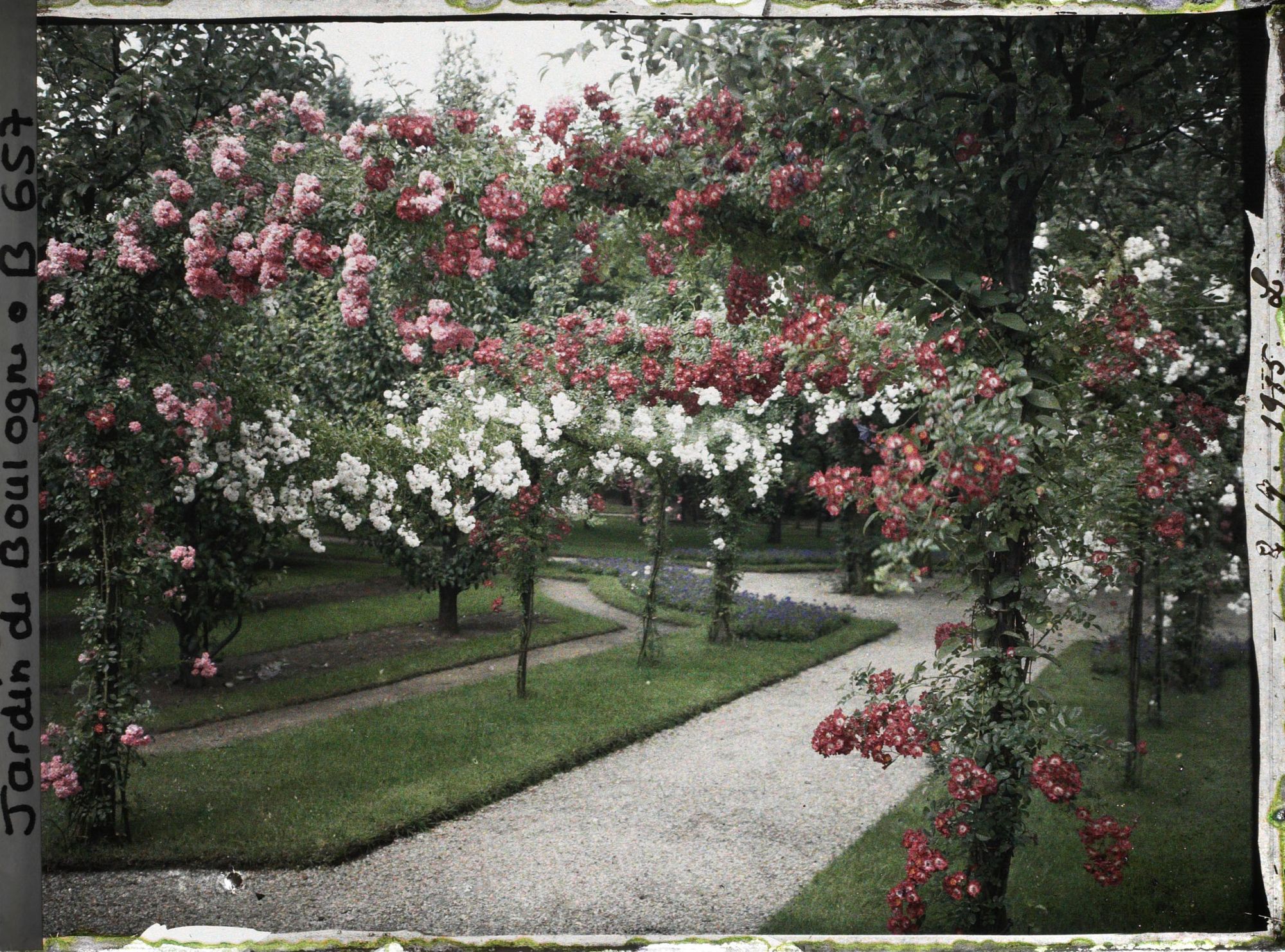 Image représentant Coin sud-ouest du verger-roseraie vu depuis le deuxième carrefour situé avant la dépendance