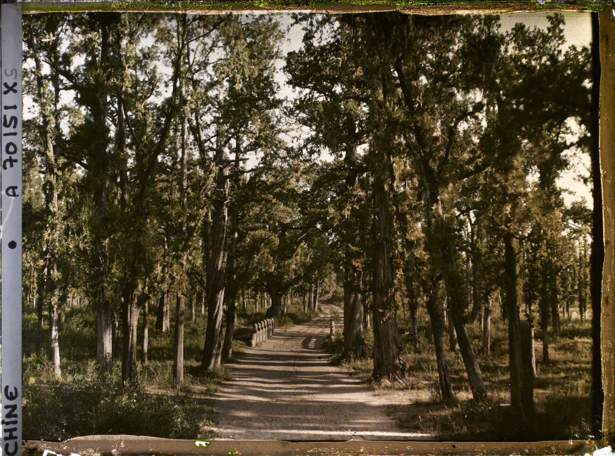Image représentant Konglin, la nécropole de la famille de Confucius