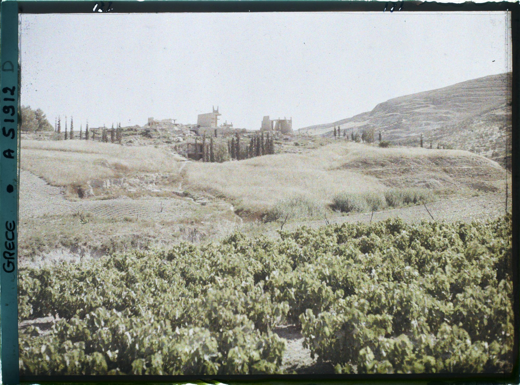 Image représentant Panorama vers l'ensemble des ruines du Palais