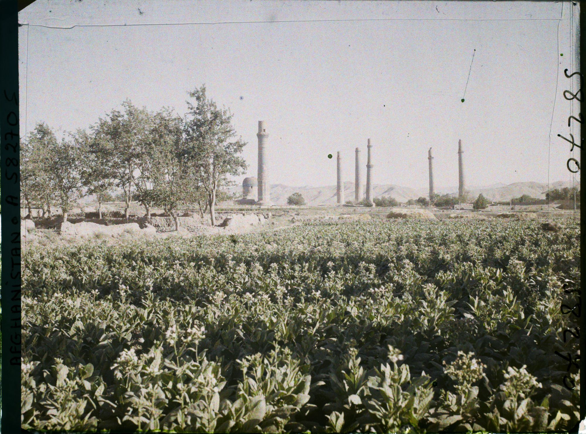 Image représentant Afghanistan, Hérat, Vue s/ les minarets de la gde mosquée
