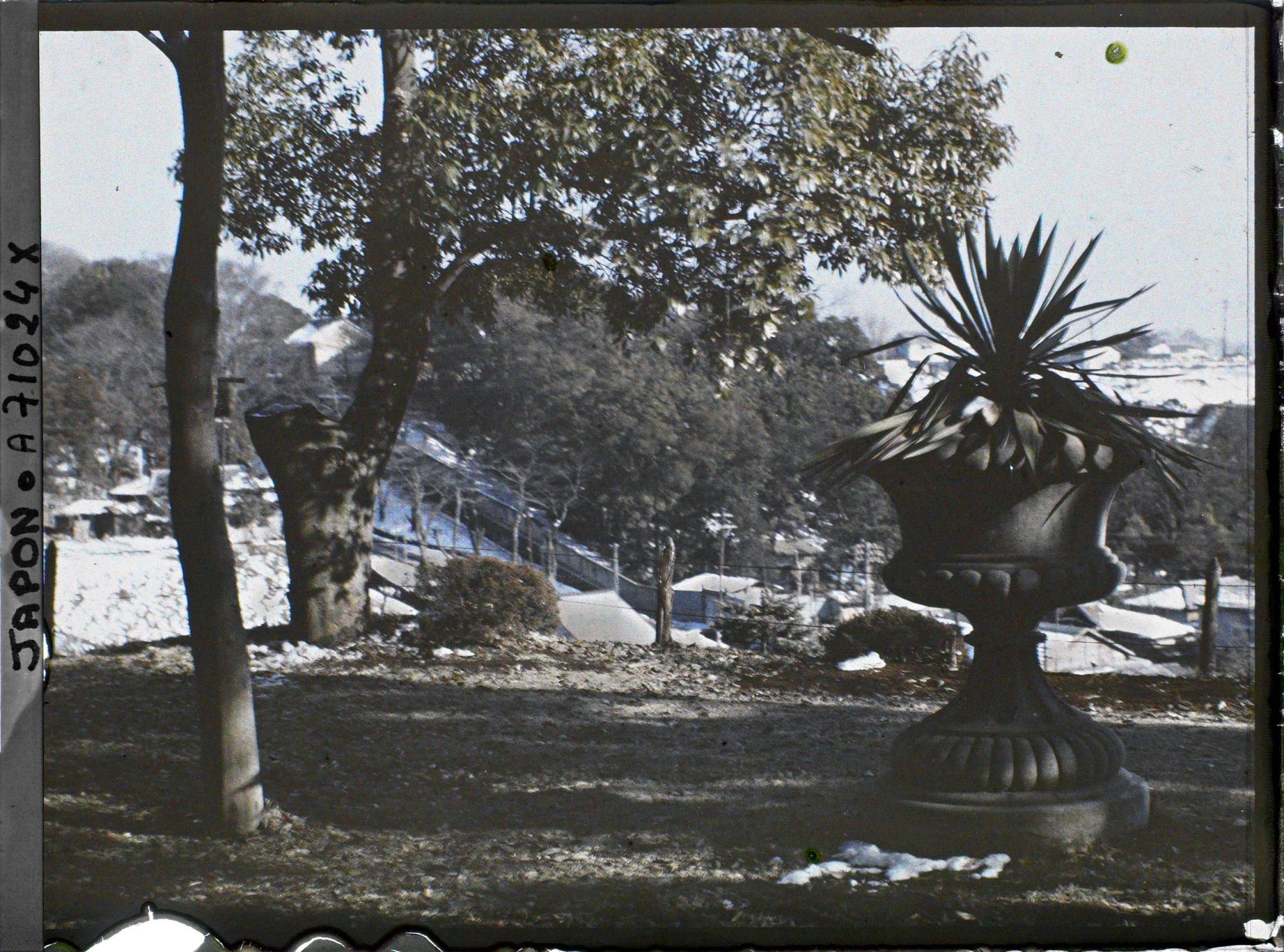 Image représentant Vasque dans un jardin